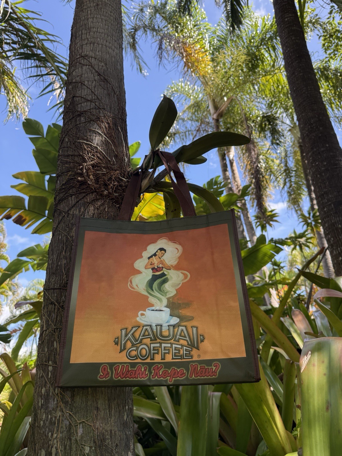 KAUAI Coffee Estate Reserve REUSABLE Hula Girl Bag NEW