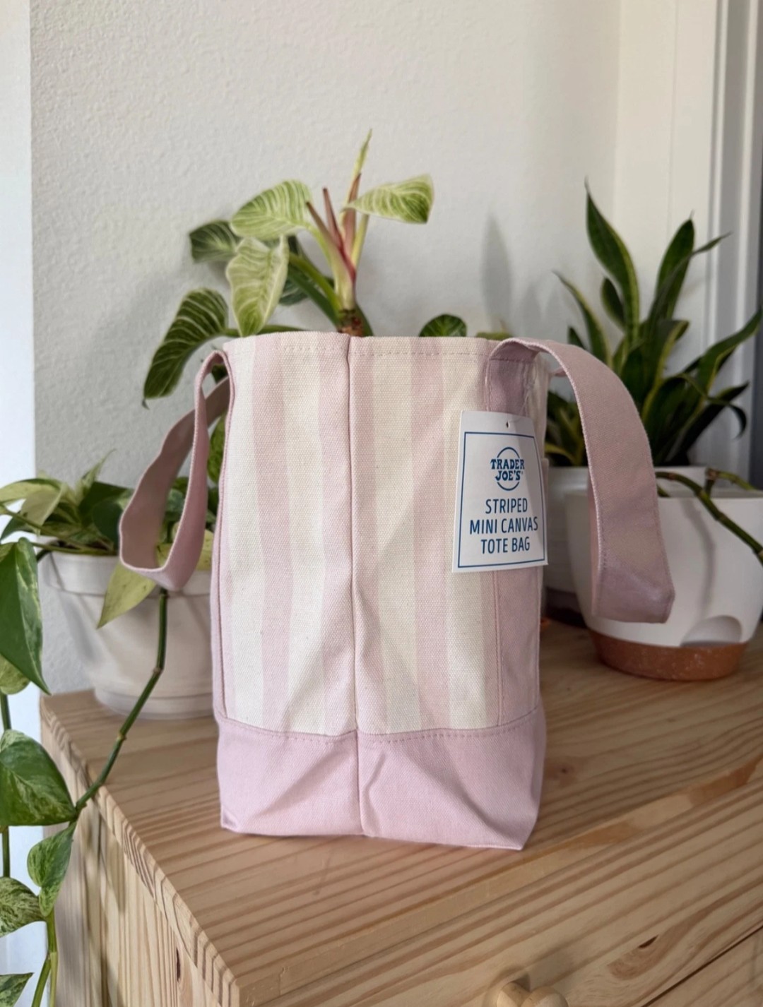 Trader Joe’s Striped Mini Canvas Tote Bag, Pink/White, Cotton/Polyester