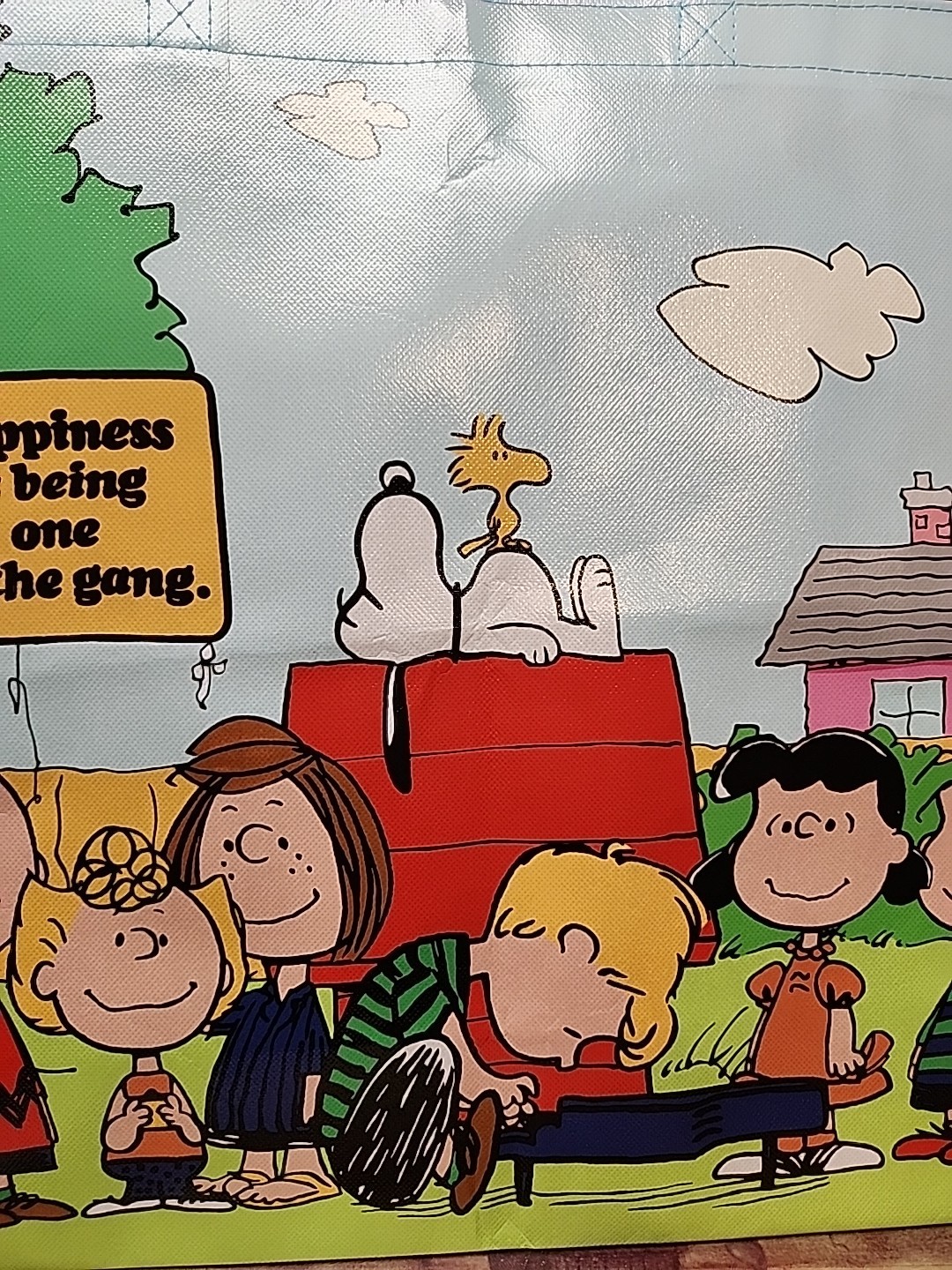 Peanuts Gang Snoopy & Woodstock XLarge Canvas Tote Bag 19.5×17