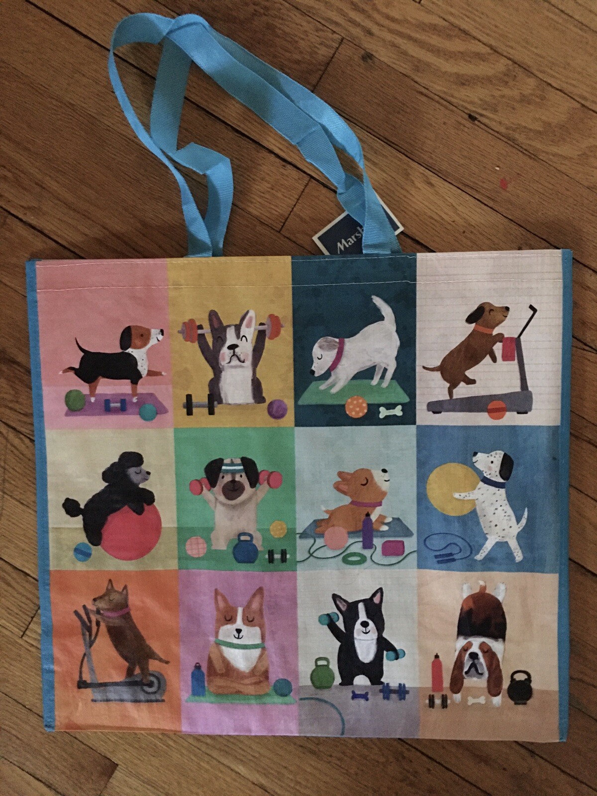 Various DOG Breeds~Exercising~@the Gym~Shopping Bag Reusable EcoTOTE~Marshalls