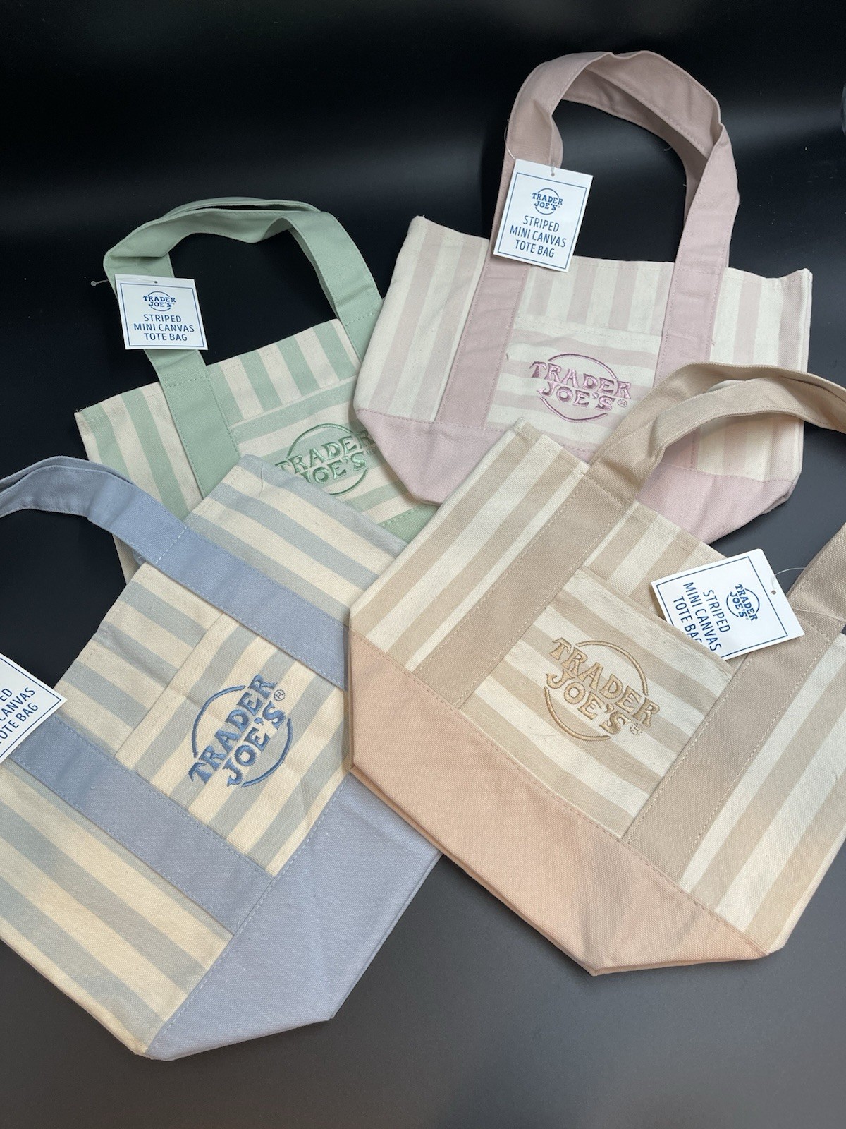 Trader Joe’s Mini Canvas Tote Bag Striped Multicolor 13x10x11 New