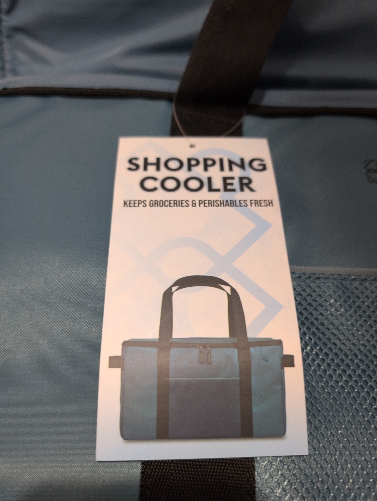 Keep Cool Insulated Reusable Shopping Bag Cooler BLUE Costco NEW Rare KEEPCOOL
