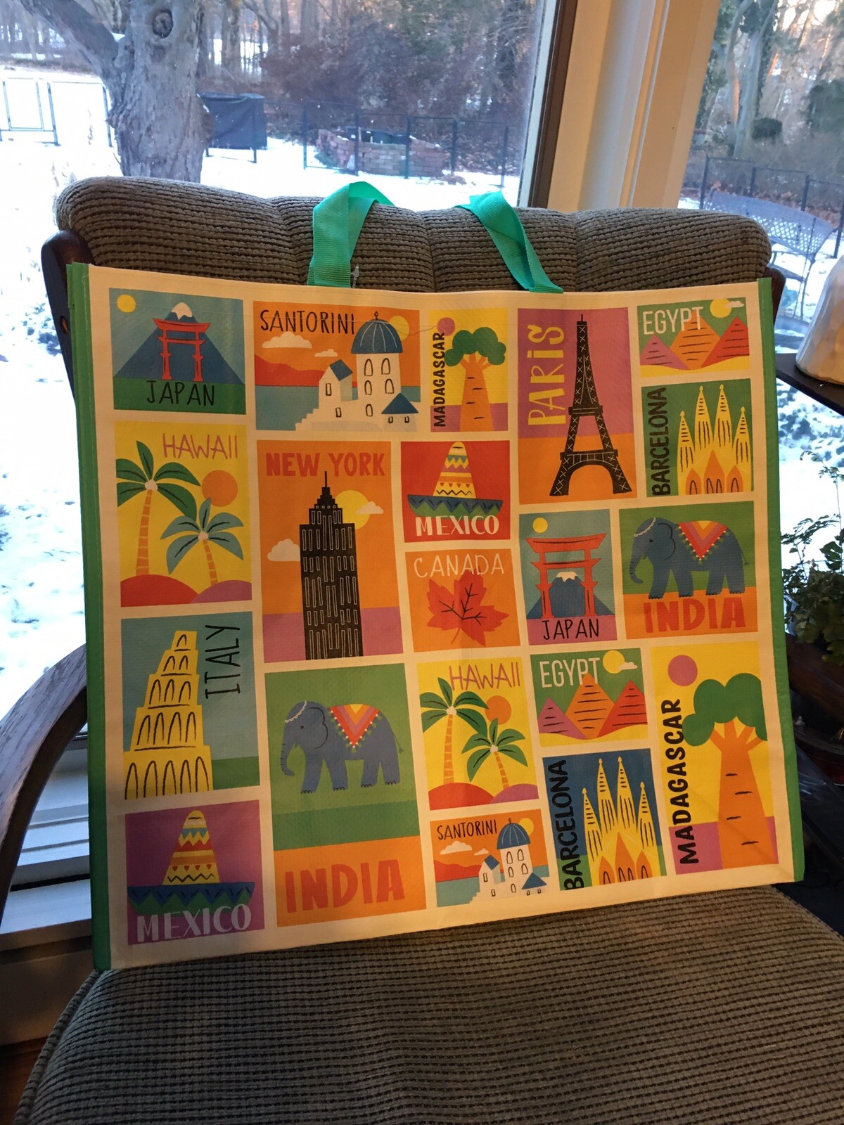 Travel Destination~NY PARIS EGYPT MEXICO Reusable Shopping Bag EcoTote Marshalls