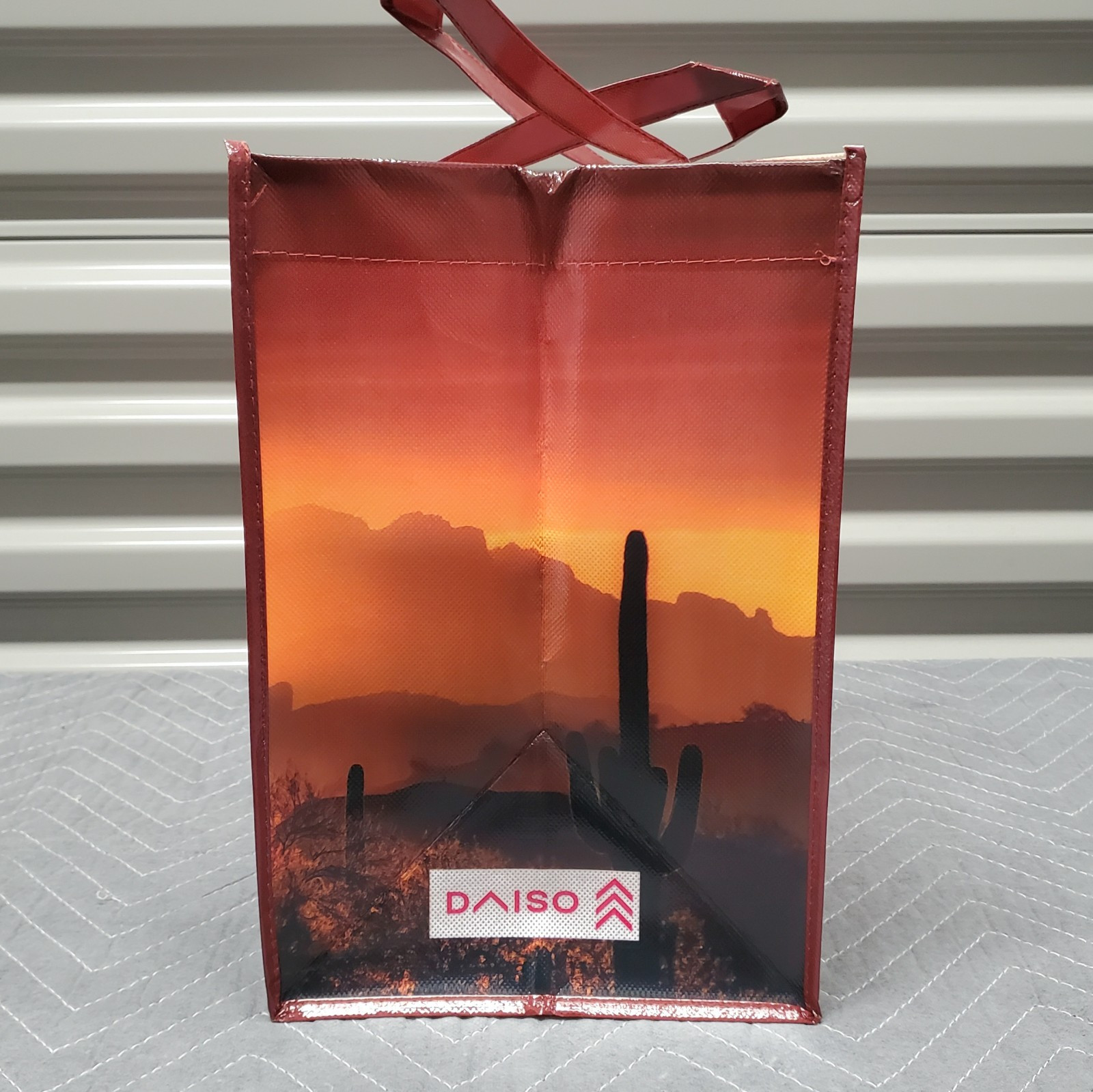 ARIZONA Landscape Reusable Grocery Shopping Tote Bag Medium 15x12x8″ Daiso Japan
