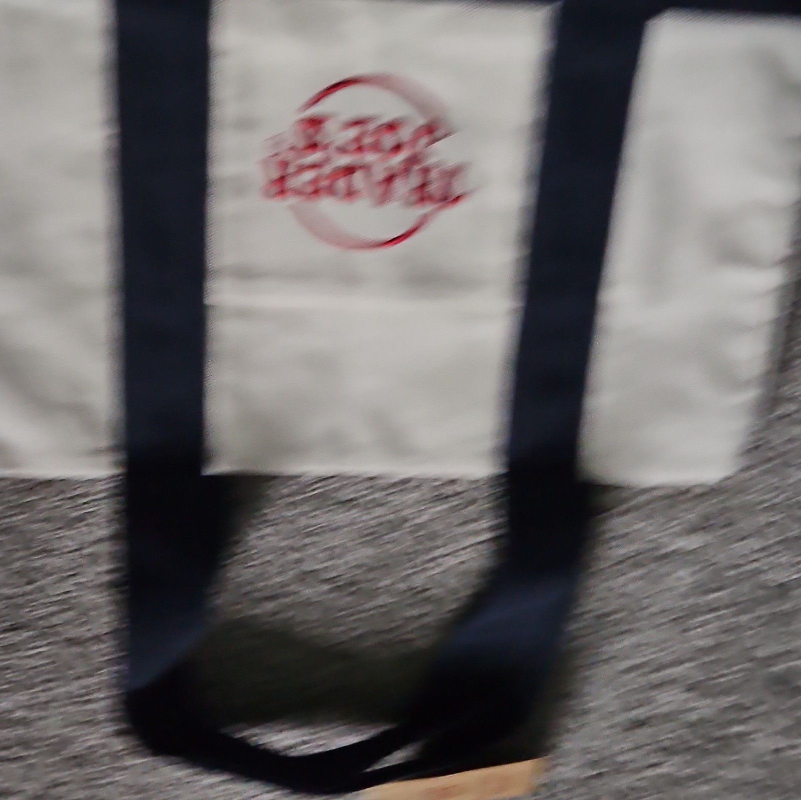 Trader Joe’s Mini Canvas Tote Bag Beige Blue Red 13x10x6 Reusable
