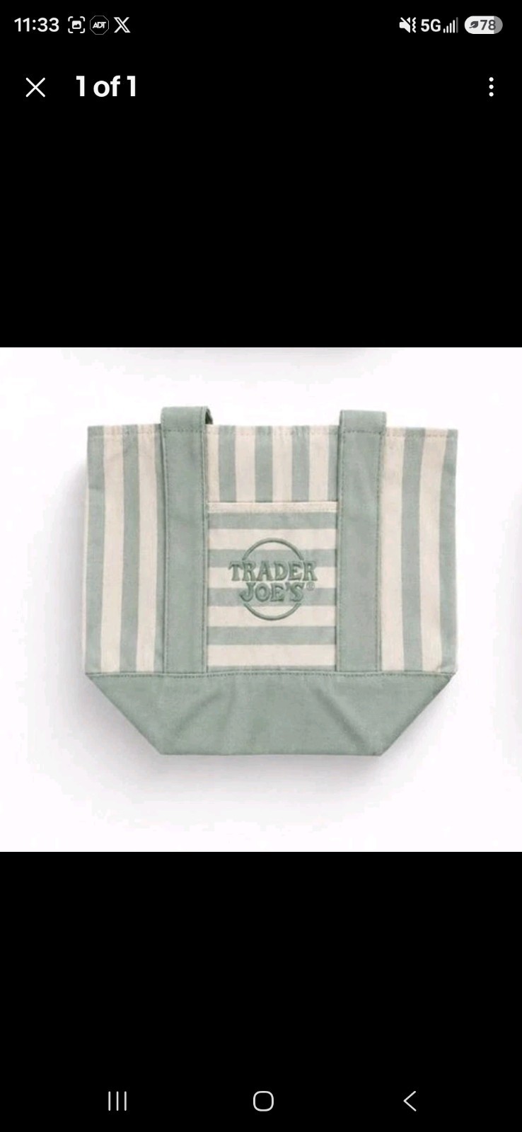 Trader Joe’s Striped Mini Canvas Tote Bag Seafoam Green 2026 Limited Edition