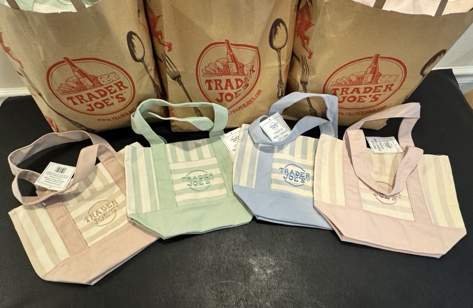Trader Joe’s Striped Mini Canvas Tote Bag Multicolor 13x10x6 in New