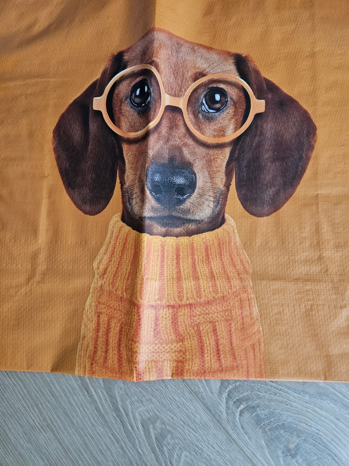 NEW ADORABLE Shopping Bag Orange With Dachshund W/eye glasses,Reusable
