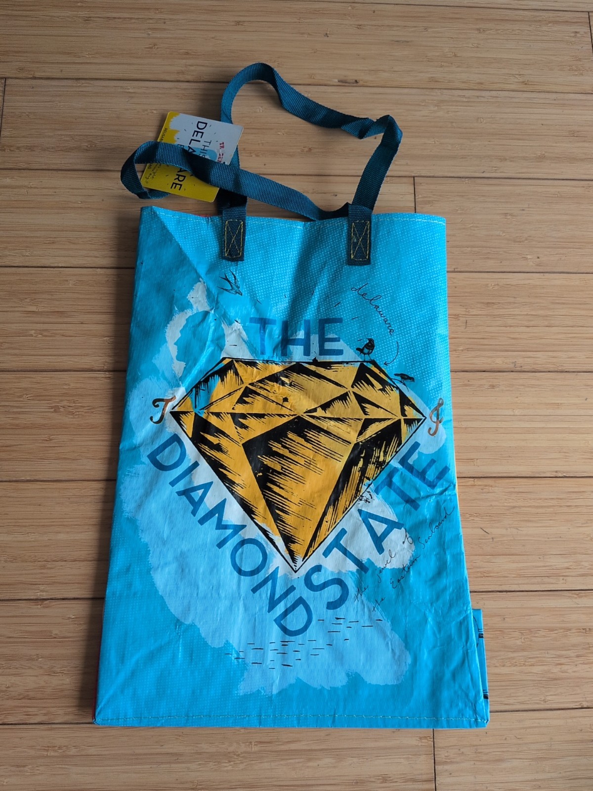 Trader Joe’s Reusable State/Region Tote Polypropylene Bag from Delaware 6 Gallon