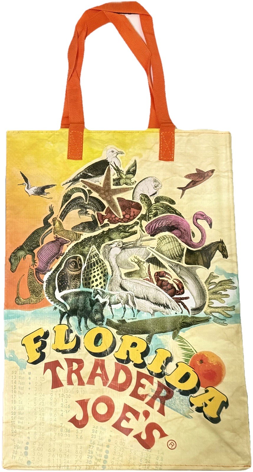 6 Trader Joe’s NEW RARE 💚 FL STATE SHOPPING REUSABLE ECO-FRIENDLY TOTE BAGS