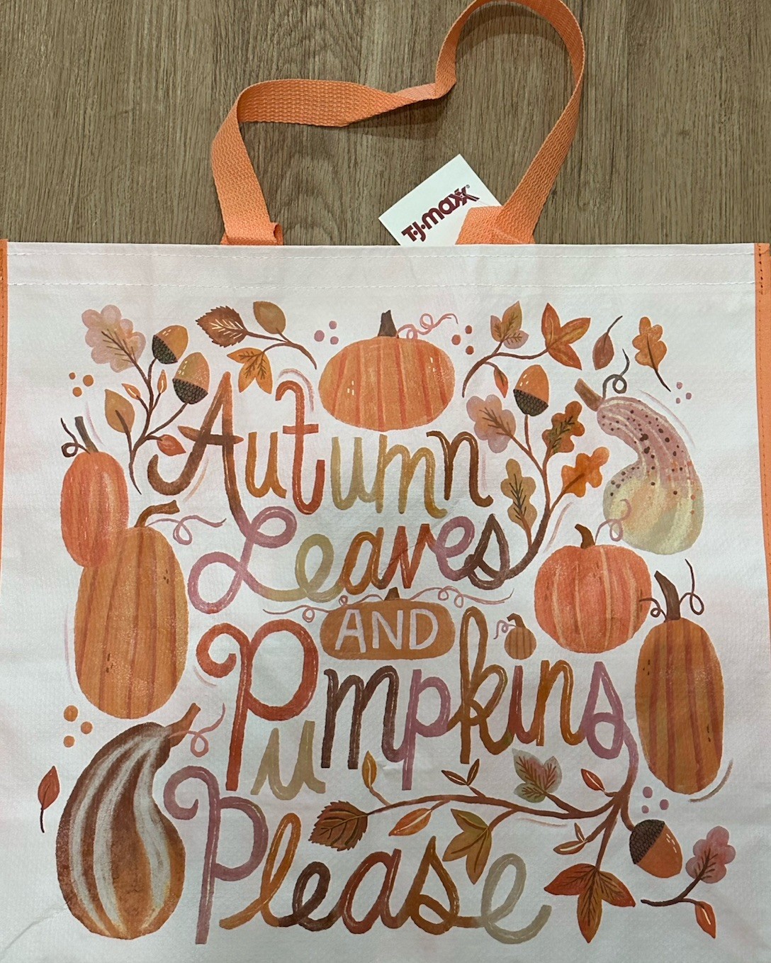 TJ Maxx Autumn Leaves And Pumpkins Please Reusable Shopping Bag Tote NWT New