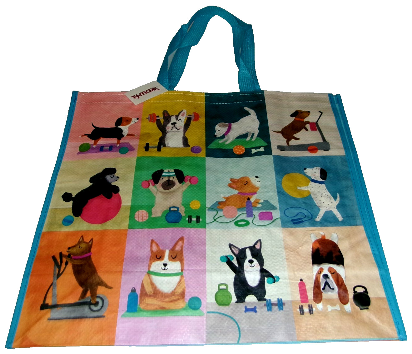 Reusable Tote Bag ~ 20″ X 18″ X 8″ ~ DOGS WORKING OUT By T. J. Maxx🐶