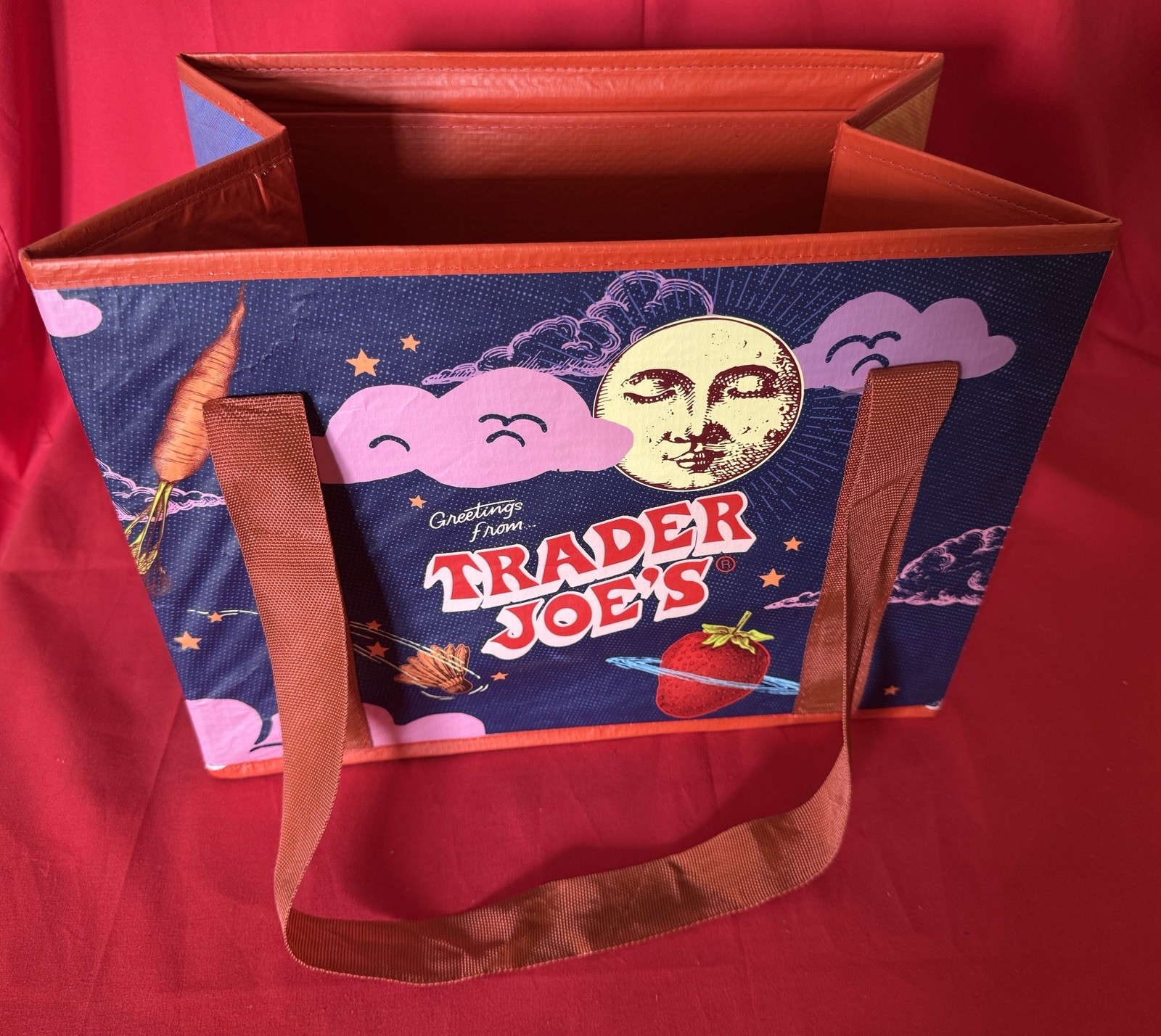 Trader Joe’s Moon & Sky stand up rigid bag. Collapsible Tote Bag 6 Gal NWT