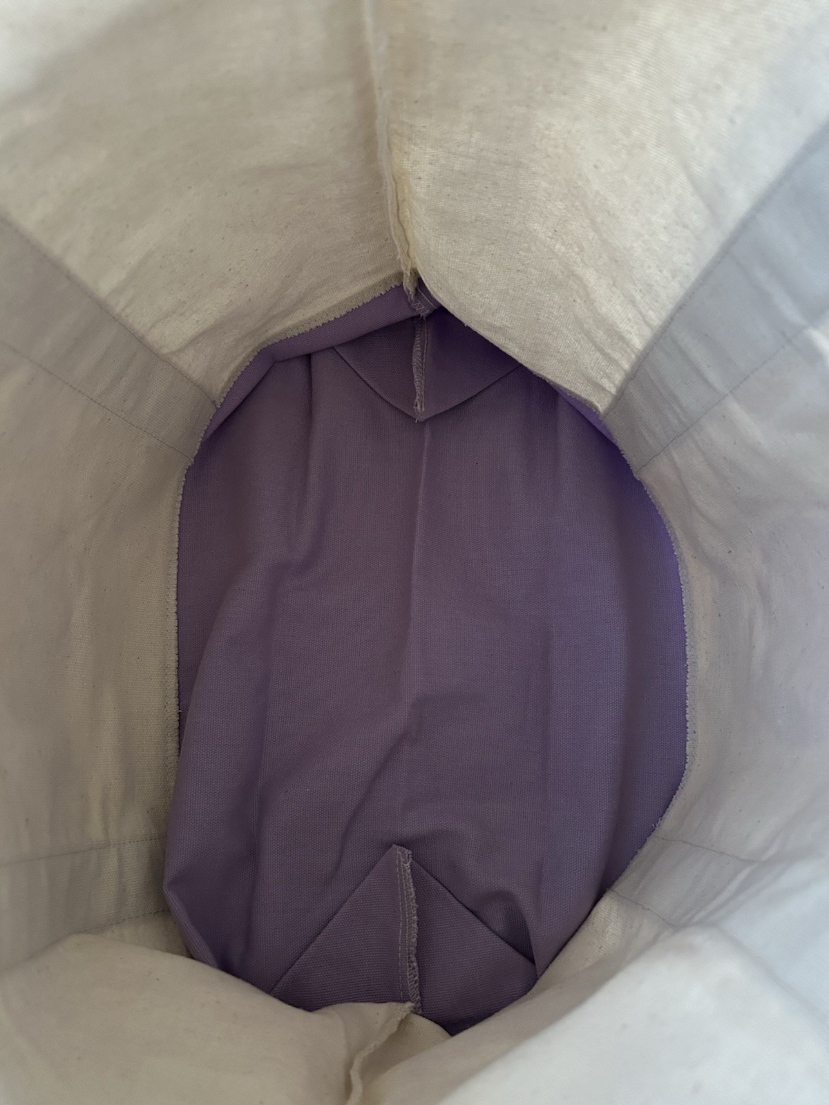 Trader Joe’s Trending Large Purple Embroidered Logo Reusable Canvas Tote Bag NWT