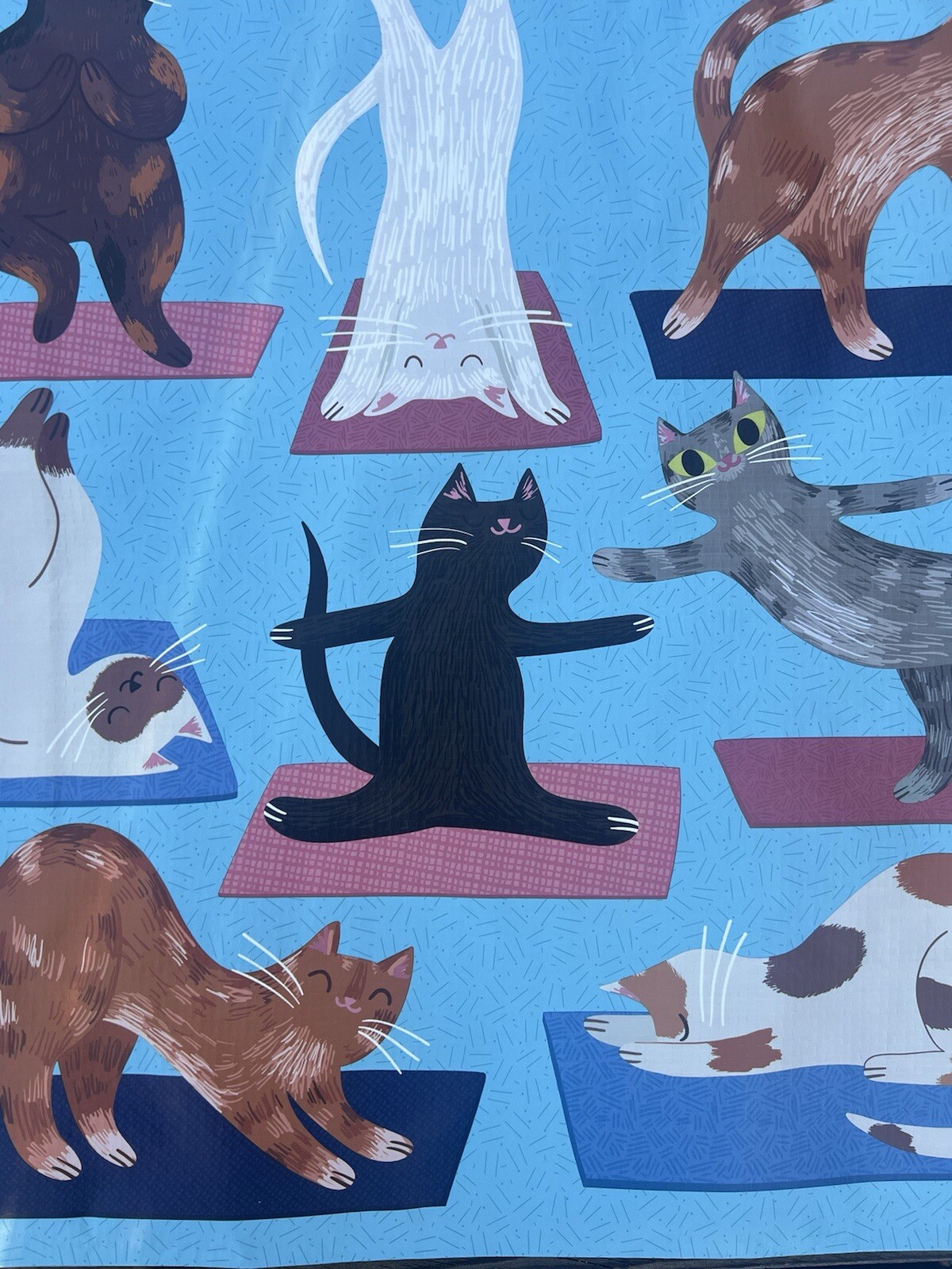 NEW TJX Shopping Bag HAPPY 😊 DANCING CATS Reusable Tote Bag
