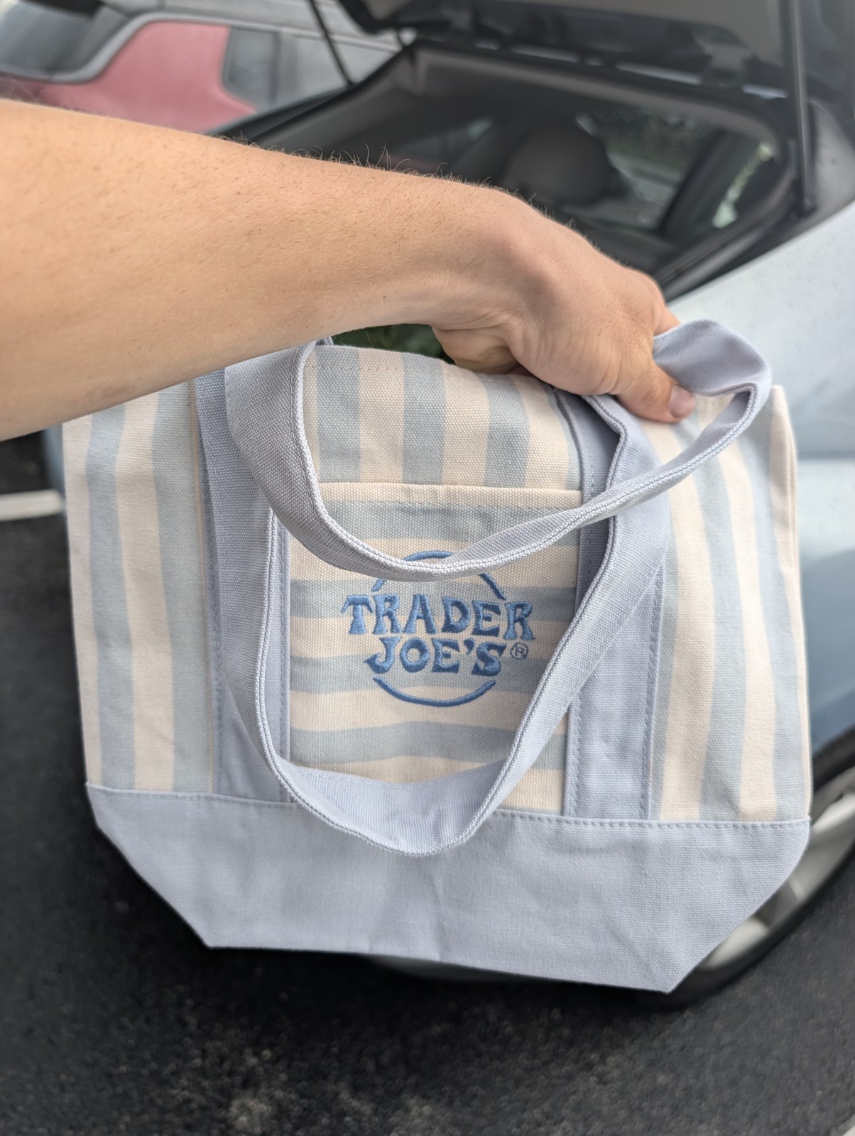 Trader Joe’s Striped Mini Canvas Tote Bag Blue/White 13x6x10 Cotton Blend
