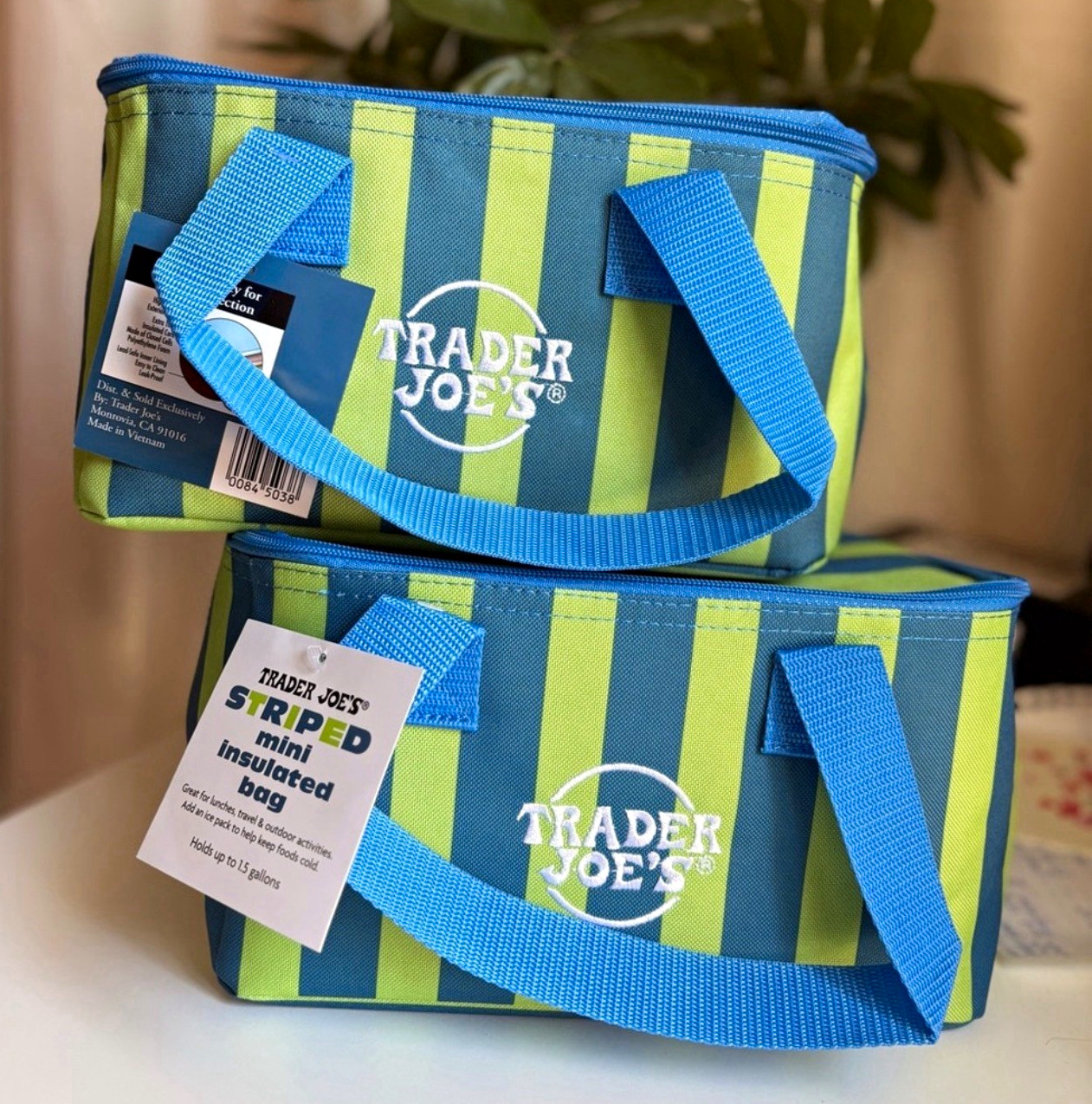 Trader Joe’s Mini Insulated Tote Bags Summer 2026 Striped Blue/Green NWT 2-Pack