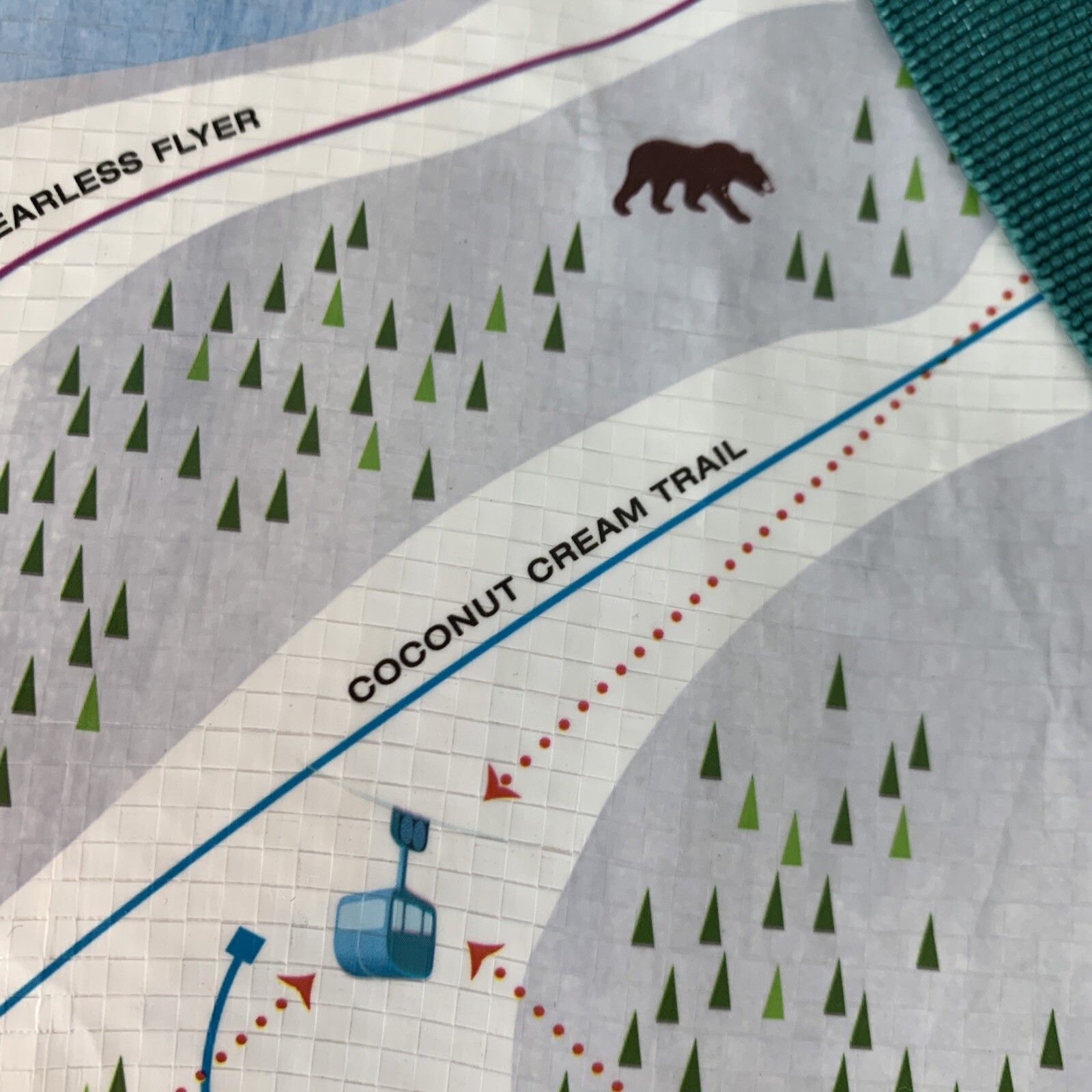 Trader Joe’s Colorado Summit Reusable Shopping Grocery Tote Bag