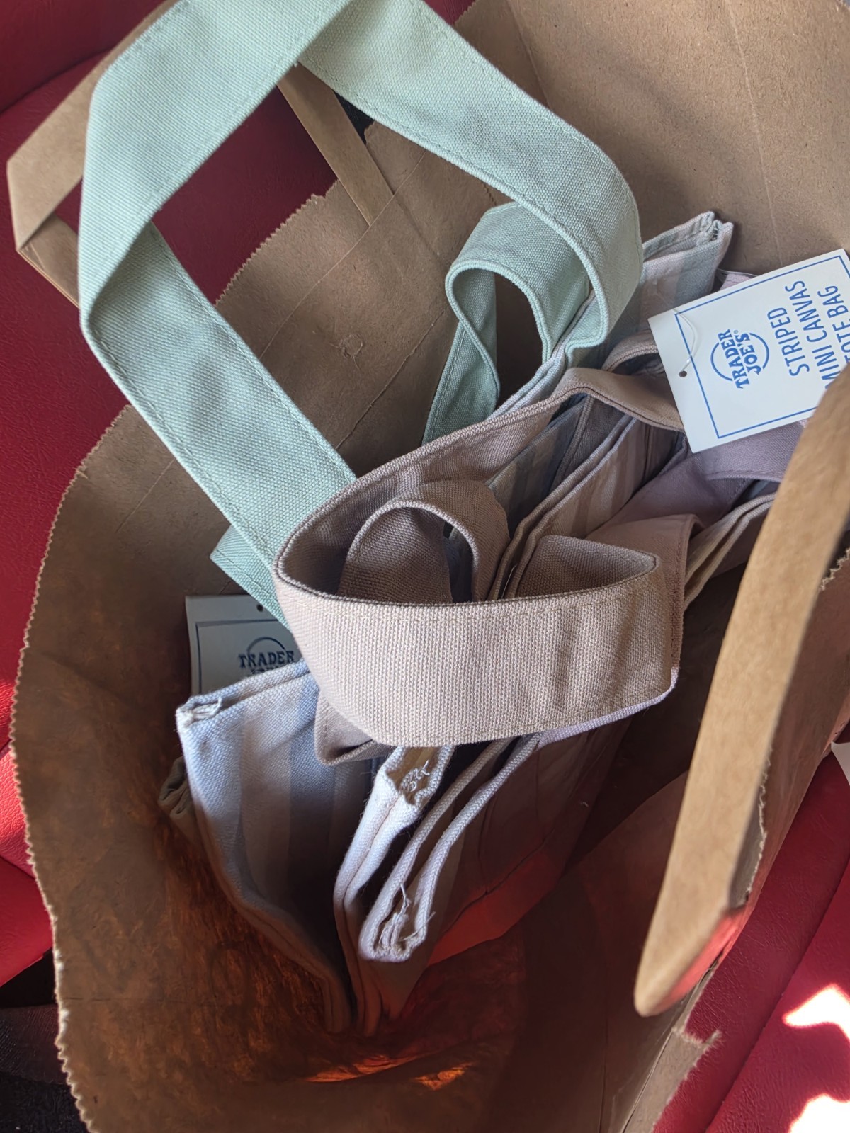 Trader Joe’s Blue Striped Mini Canvas Tote Bag Reusable 13 x 6 x 11 in