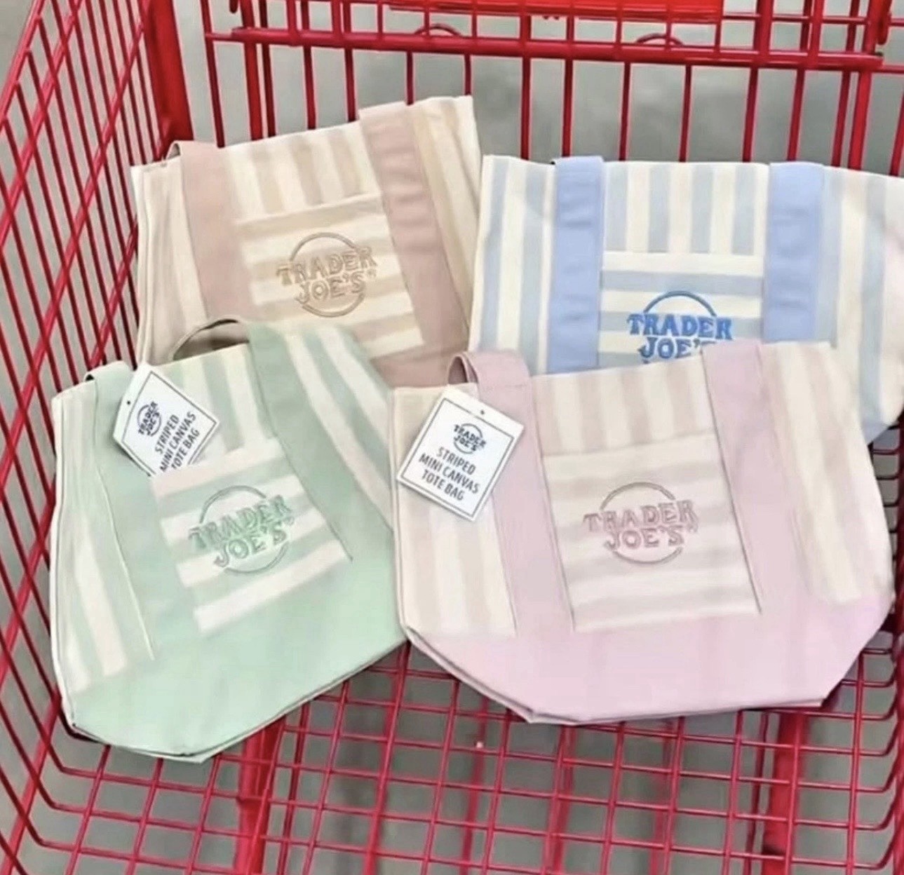 Trader Joe’s Canvas Mini Tote Bag Striped Multicolor 13x11x6 in New