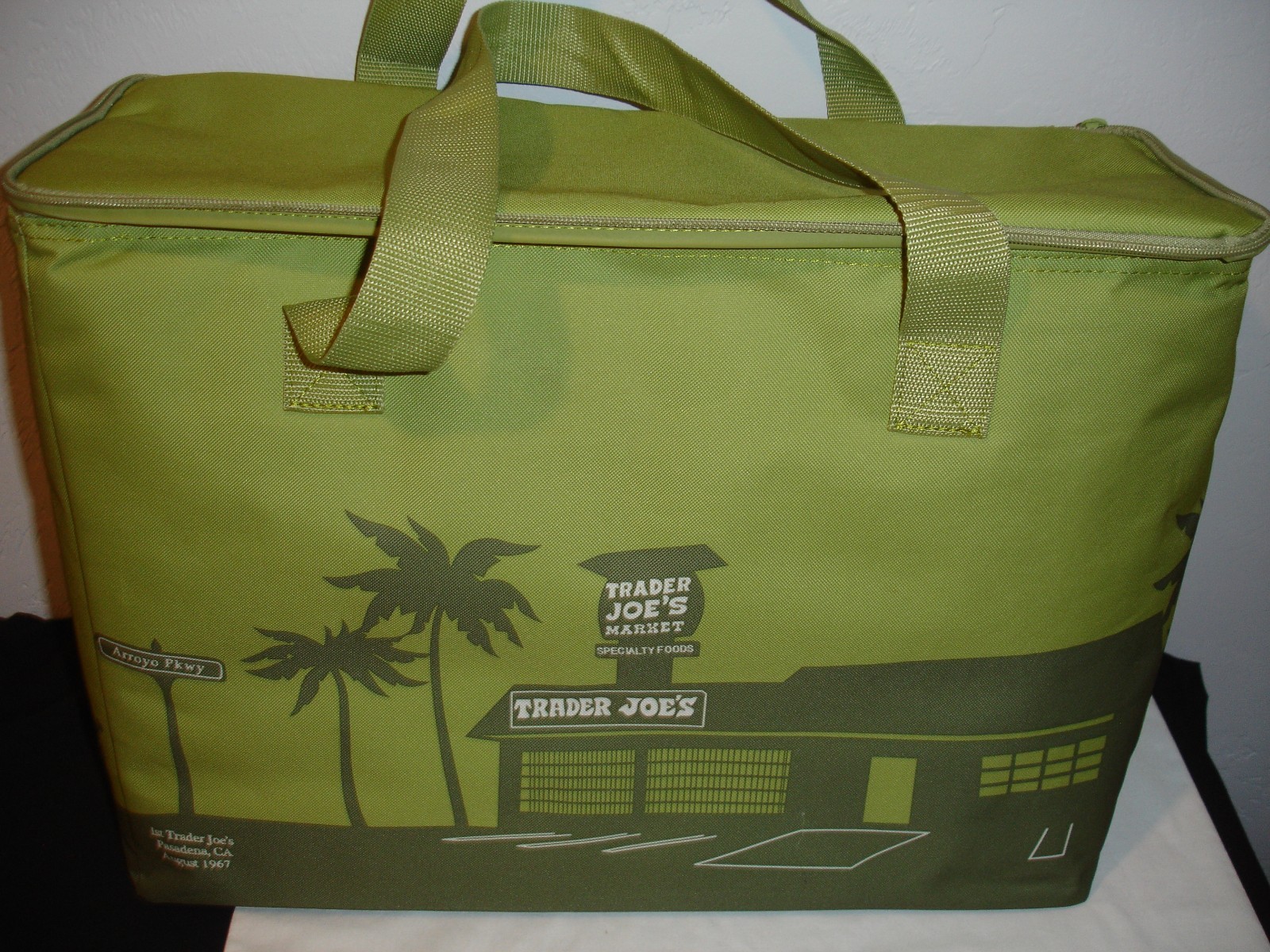 6 X 13 X 20 VINYL TRADERS JOE INSULATED BAG.GREEN,GOOD USED COND’T