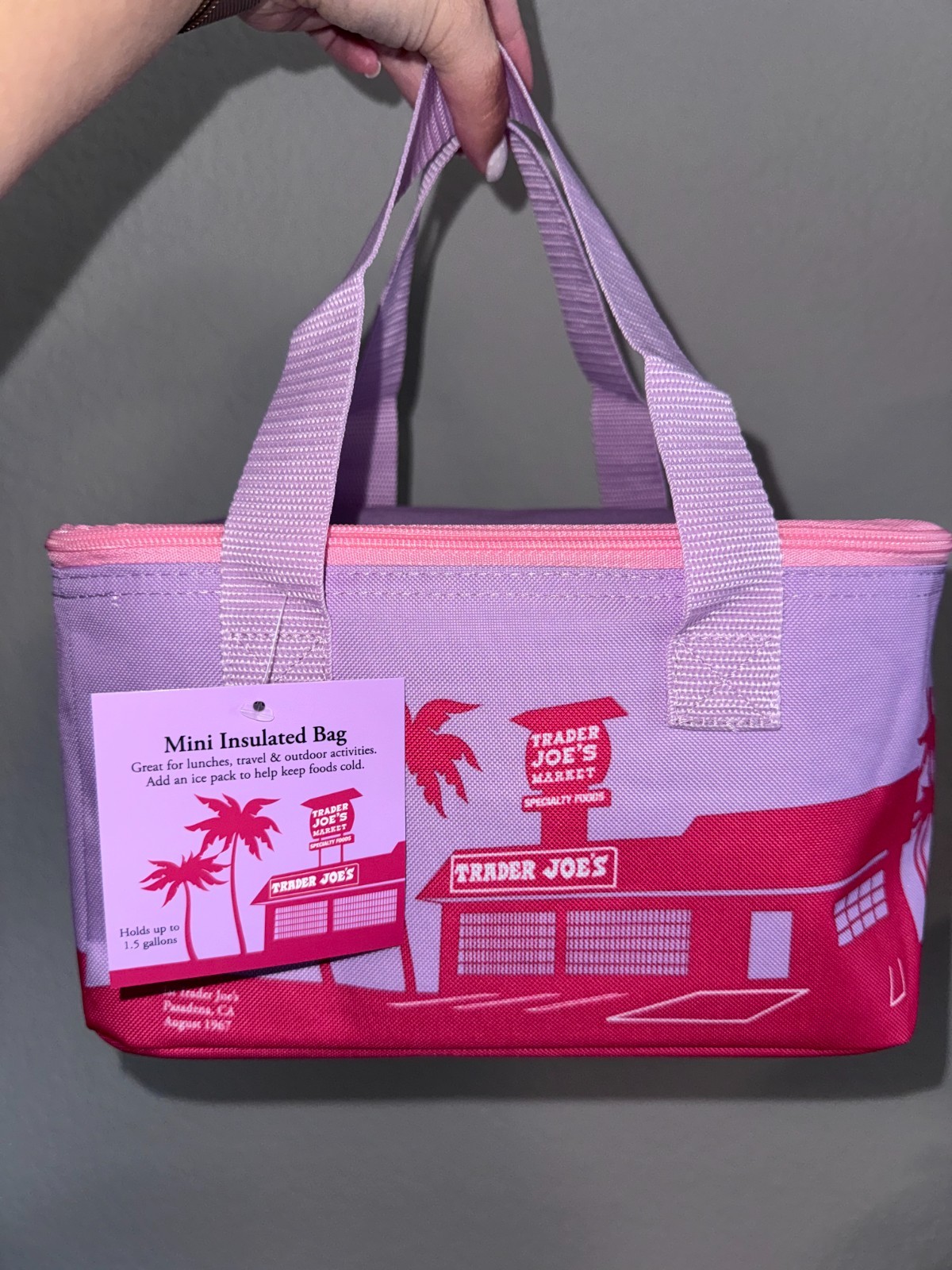Trader Joes Mini Insulated Tote Summer Collection Violet VIRAL NWT IN HAND