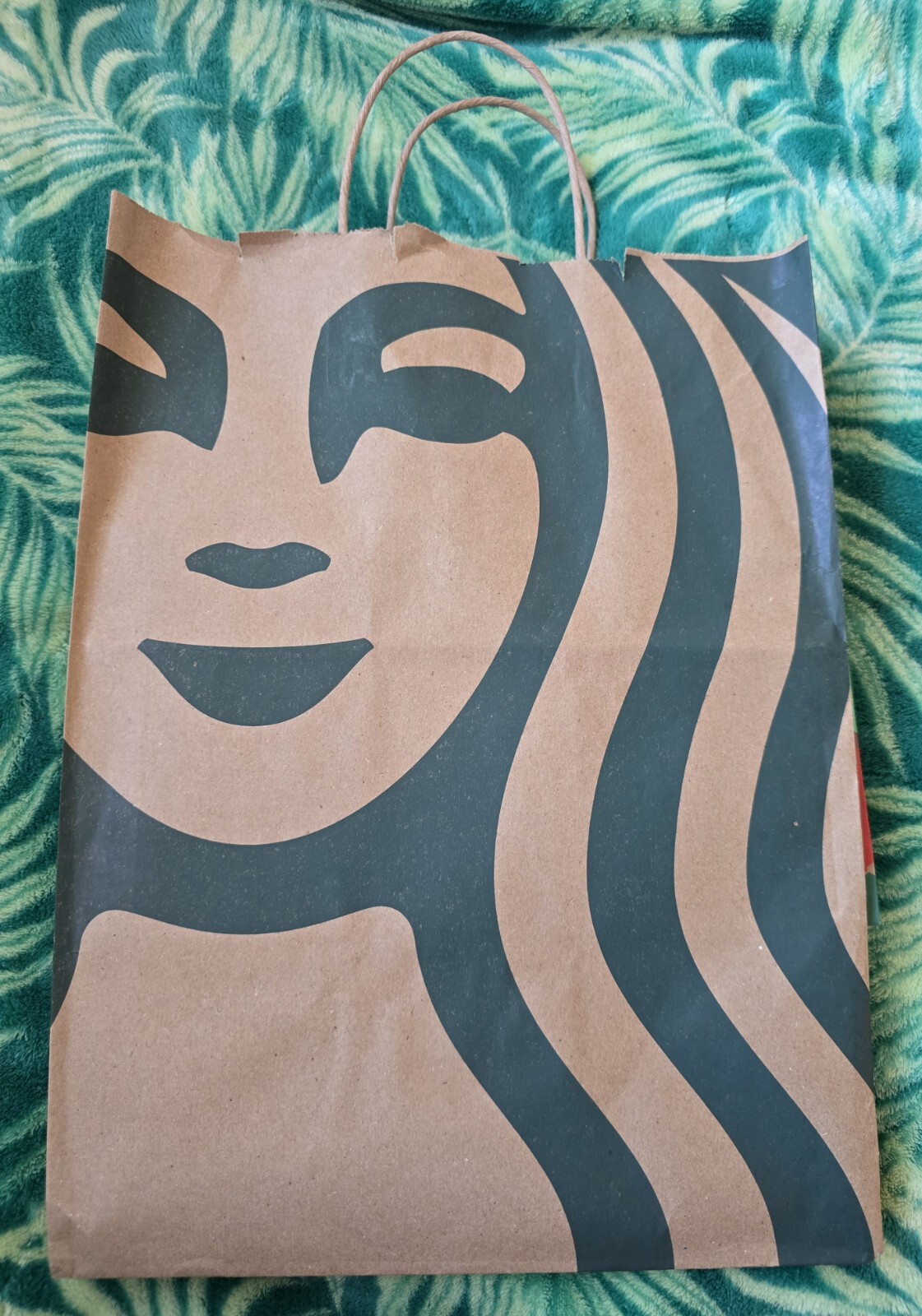 Starbucks’ Paper Bag – Resuable Shopping Gift Bag – For Arts And Crafts
