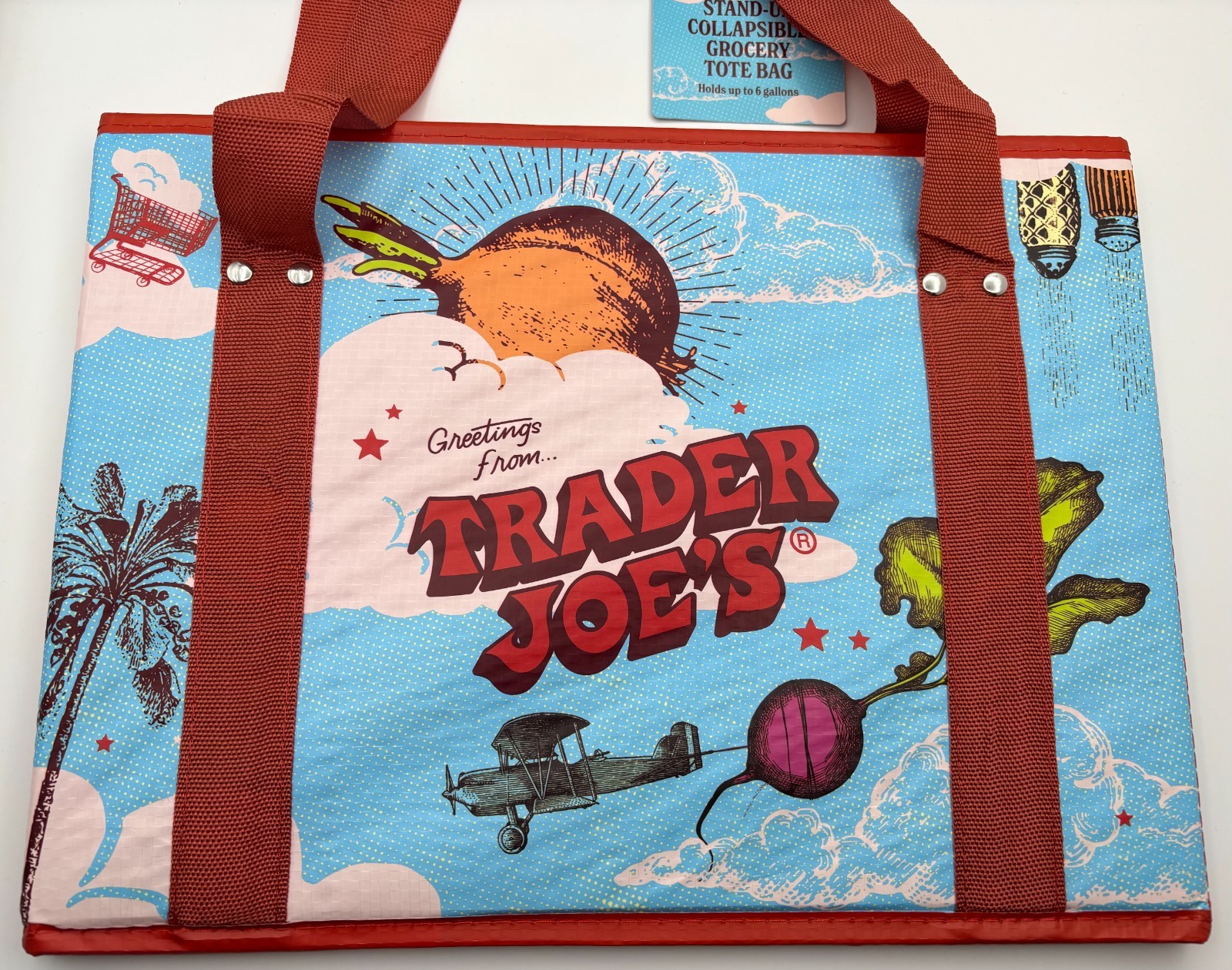 Trader Joes Grocery Shopping Bag Collapsible Tote Stand Up 6 Gallons Moon Plane