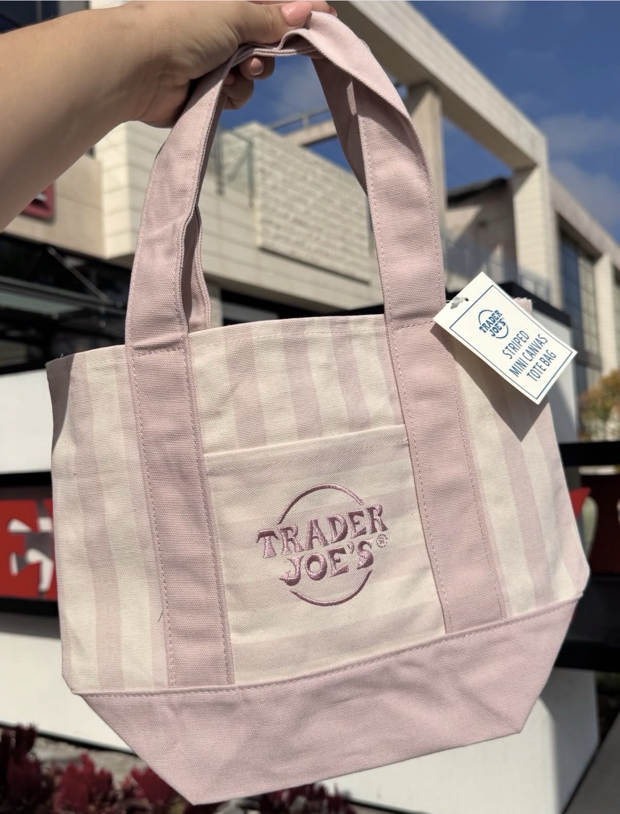 Trader Joe’s MINI PASTEL STRIPE CANVAS TOTE BAGS Set of 4 AUTHENTIC