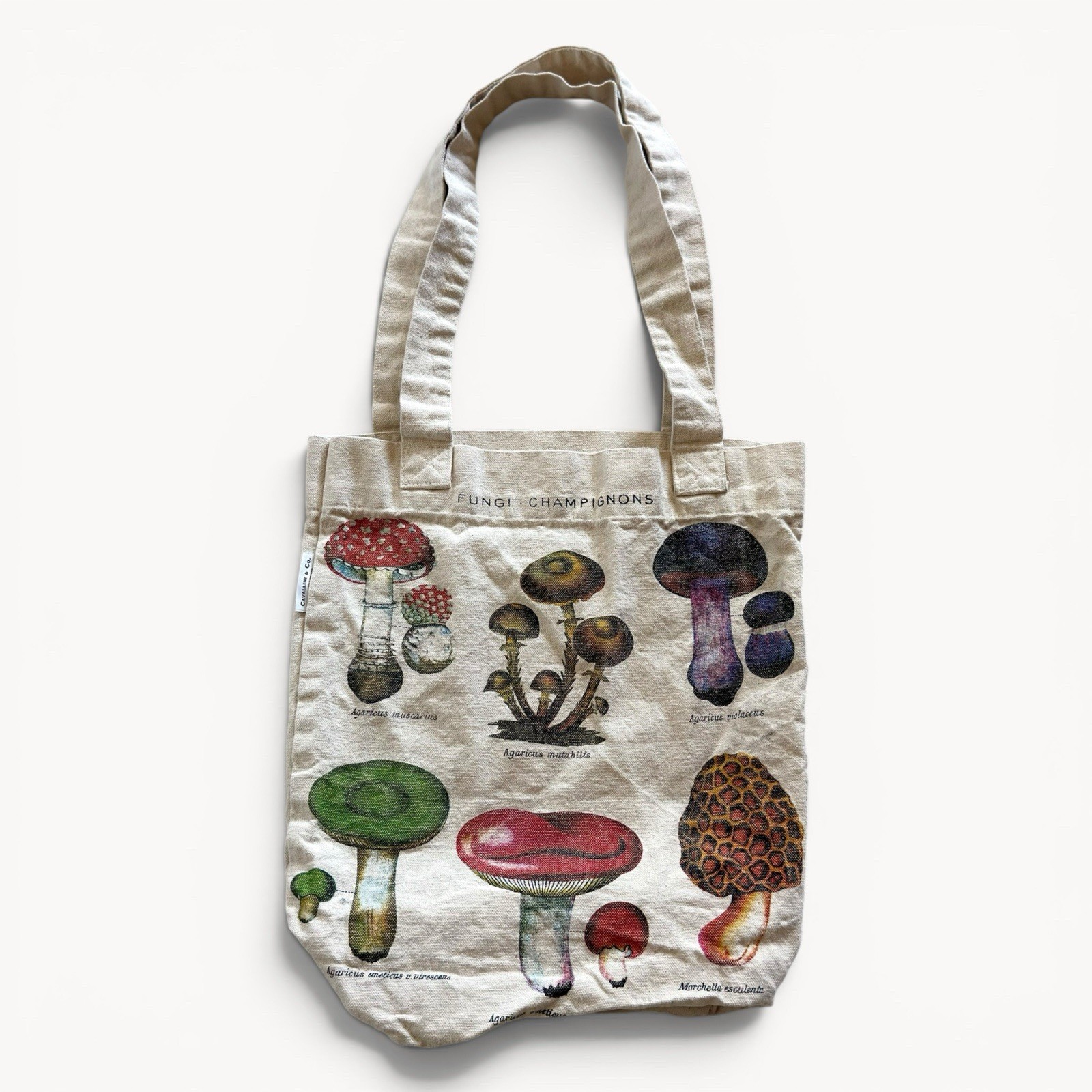 Cavallini & Co. Mushroom Print Canvas Tote Bag, Beige/Multicolor Y2K Indie