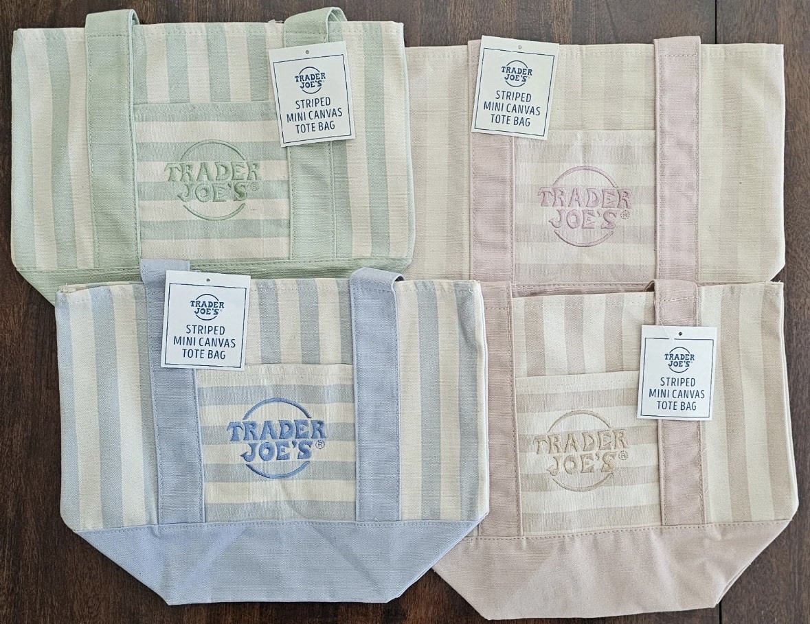 Trader Joe’s Striped Mini Canvas Tote Bag Multicolor 13x6x10 in New