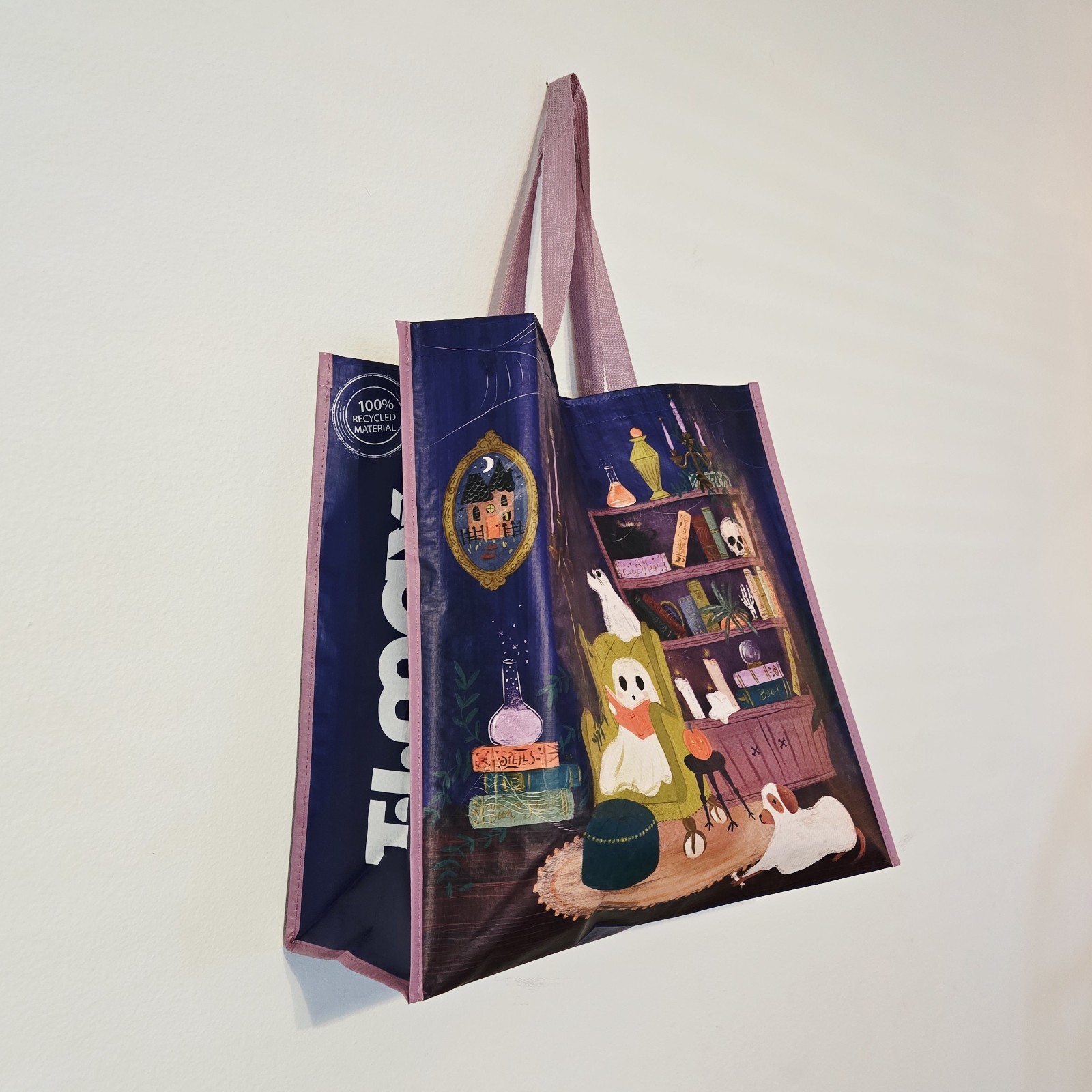 Halloween Oddities Ghosts Dog Library Office Books Spells Bag New T.J. TJMaxx