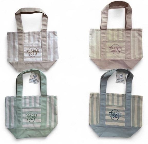 Trader Joe’s Striped Mini Canvas Tote Bag Small Multicolor 13x11x6 in
