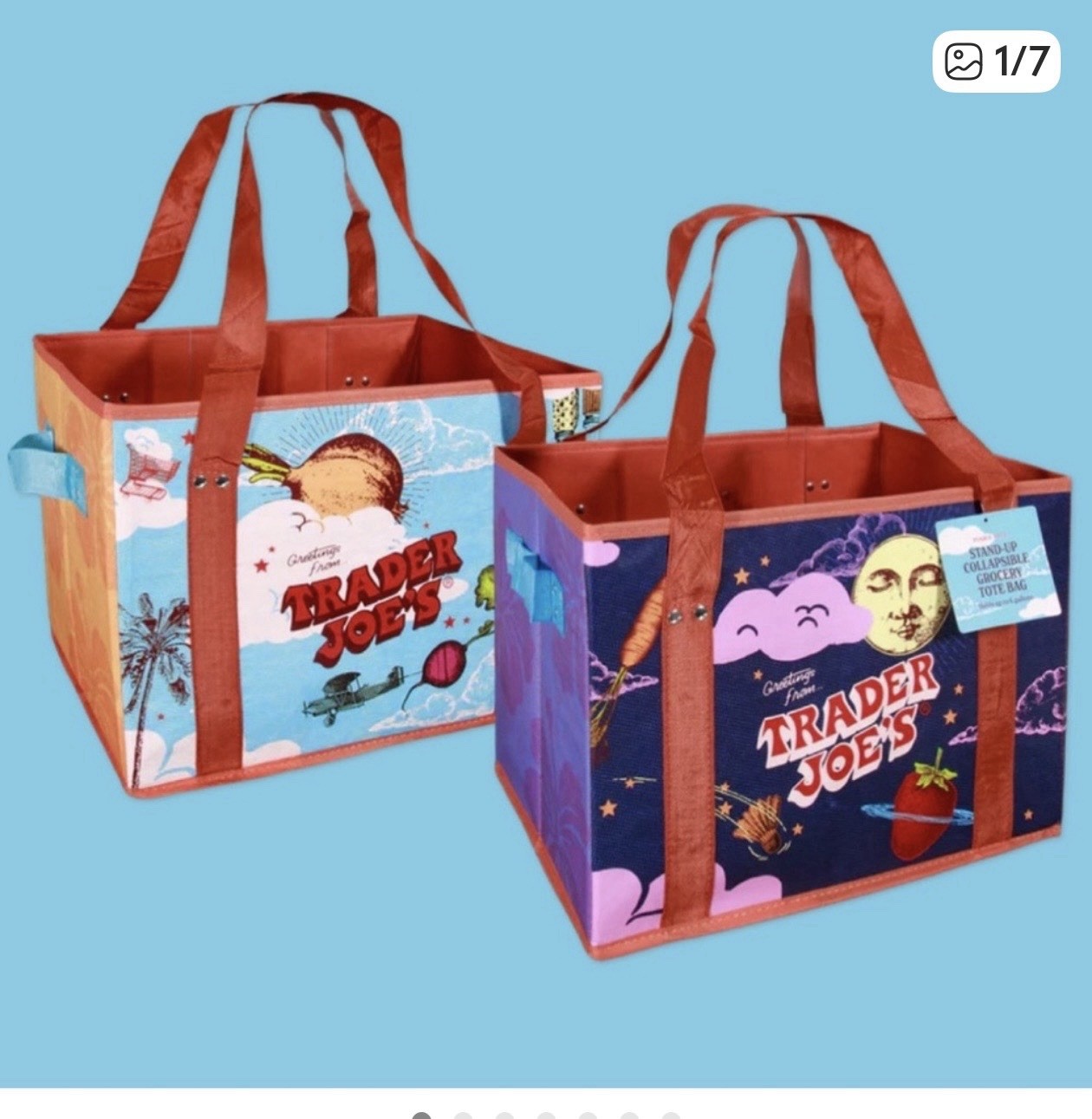 trader joes stand up collapsible tote bag