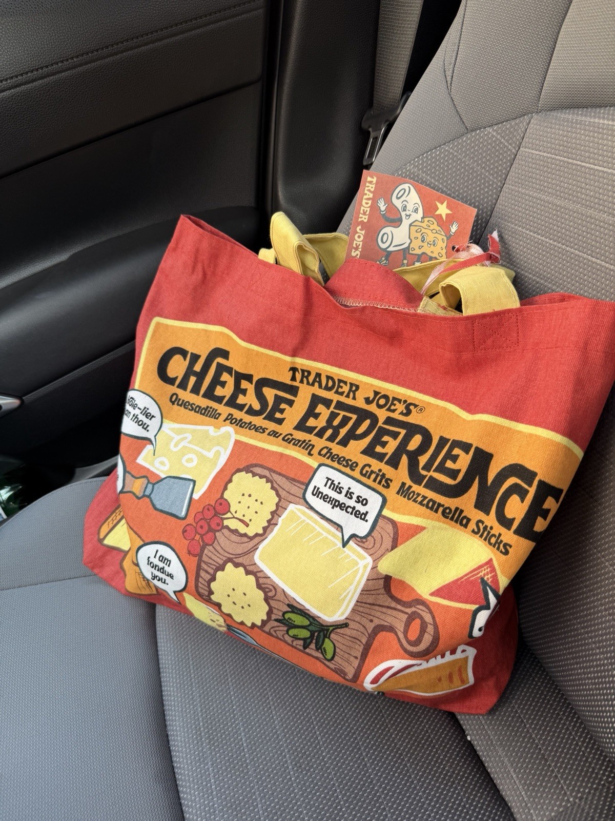 Trader Joe’s Foldable Canvas Reusable Shopping Bag Cheese Experience Multicolor