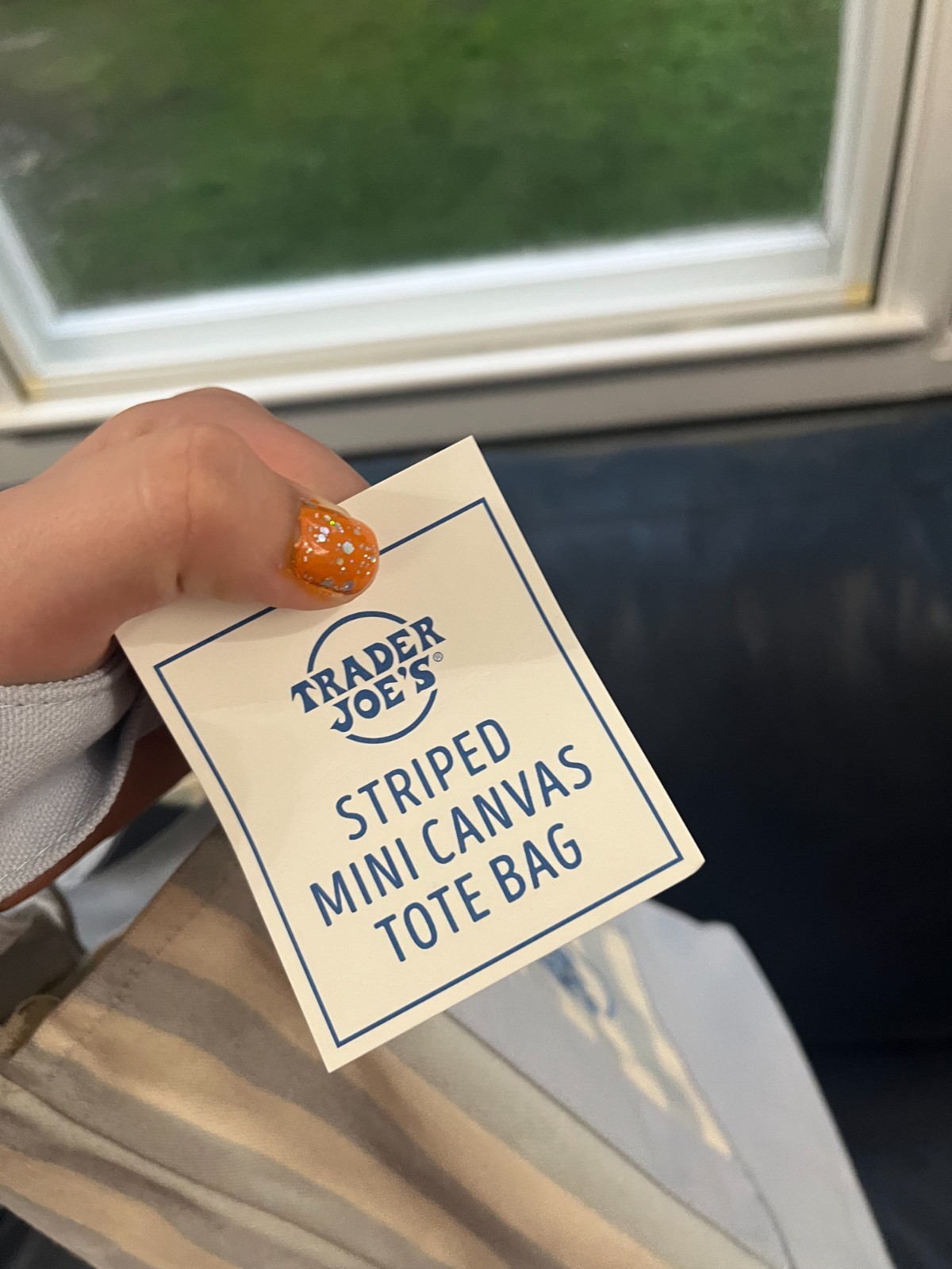 trader joe’s pastel striped mini tote bags 2 pack!!!! blue and green!!!