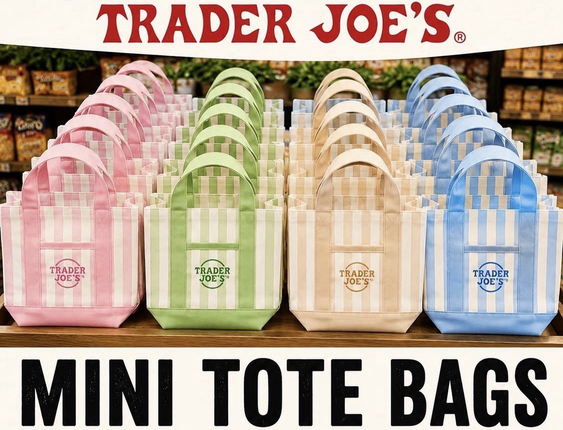 Trader Joe’s Mini Striped Canvas Tote Bag Single Bag Blue Striped Summer 2026