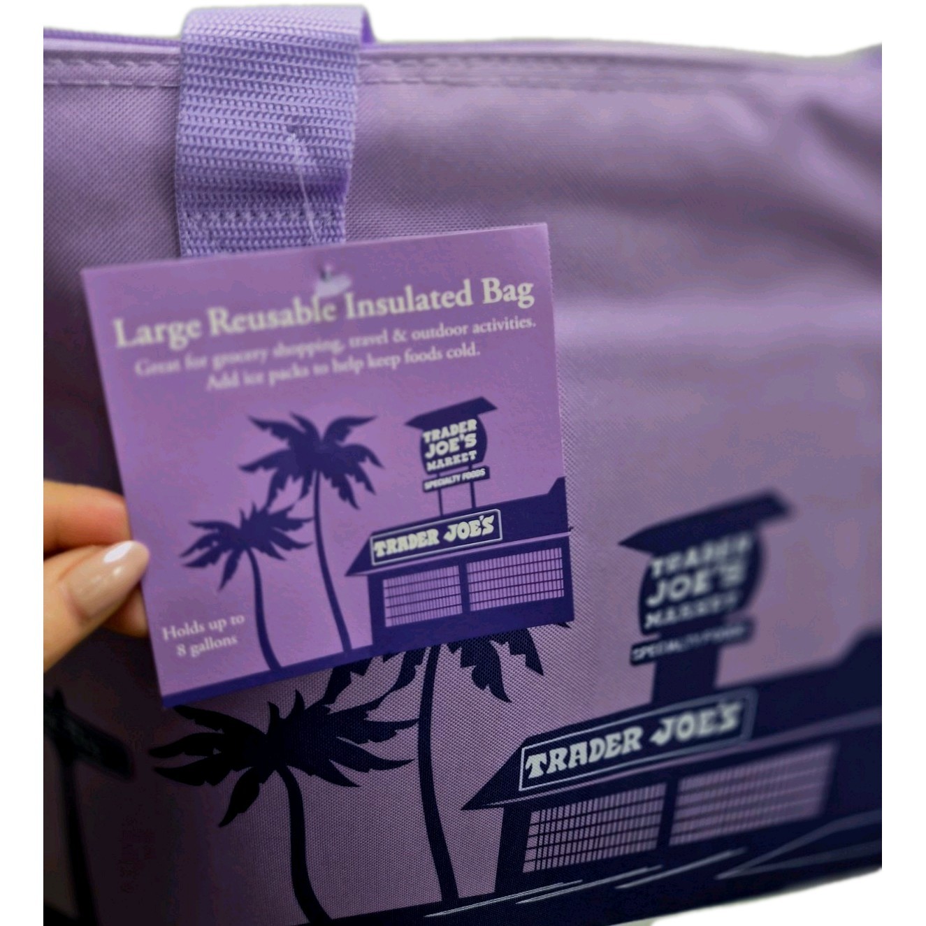 FREE SHIPPING] Trader Joe’s NEW SPRING 2026 PURPLE Large Insulated Bag Lavender