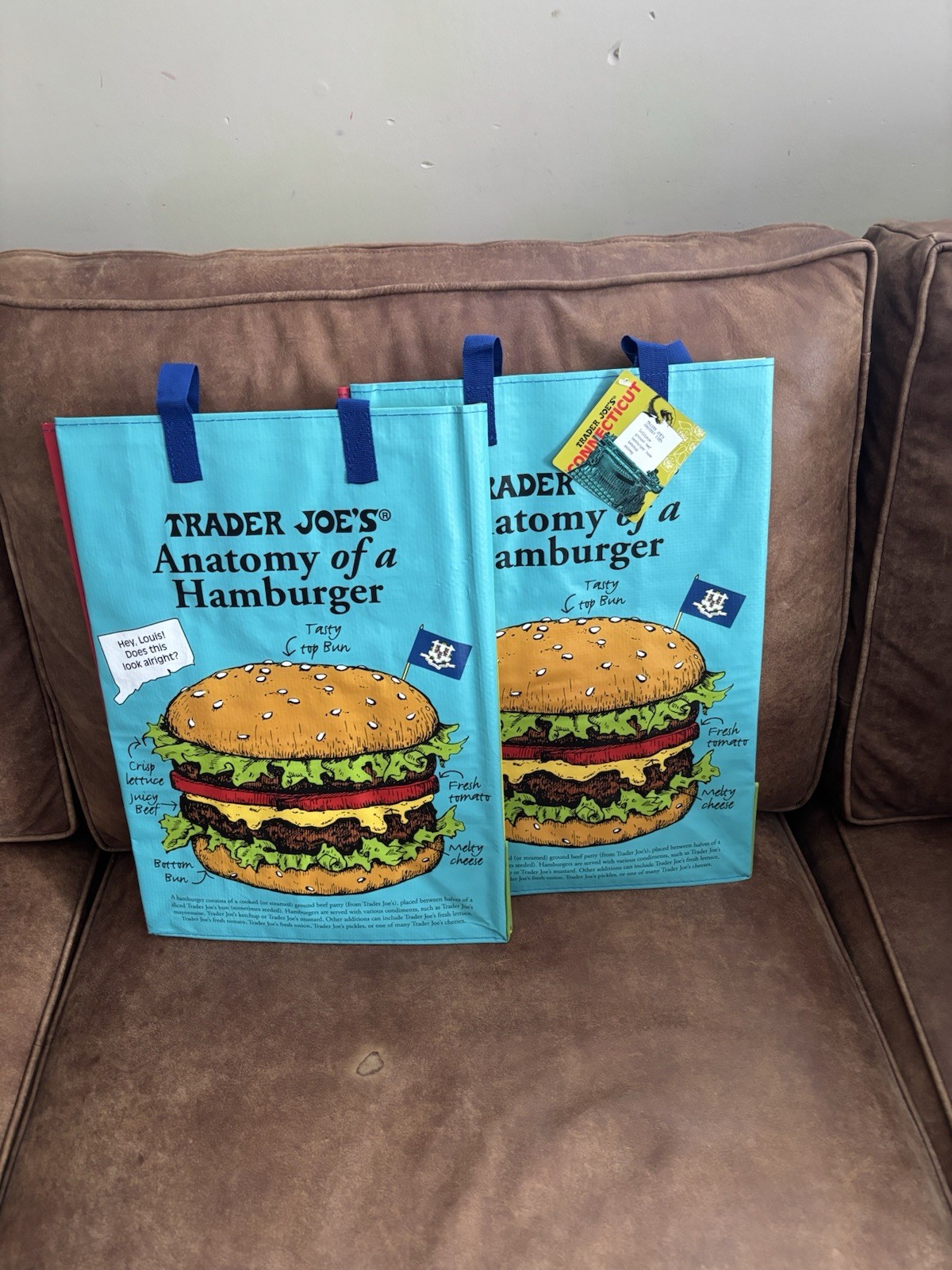 Trader Joe’s 2 Reusable Connecticut State/Region Tote Polypropylene Bag 6 Gal