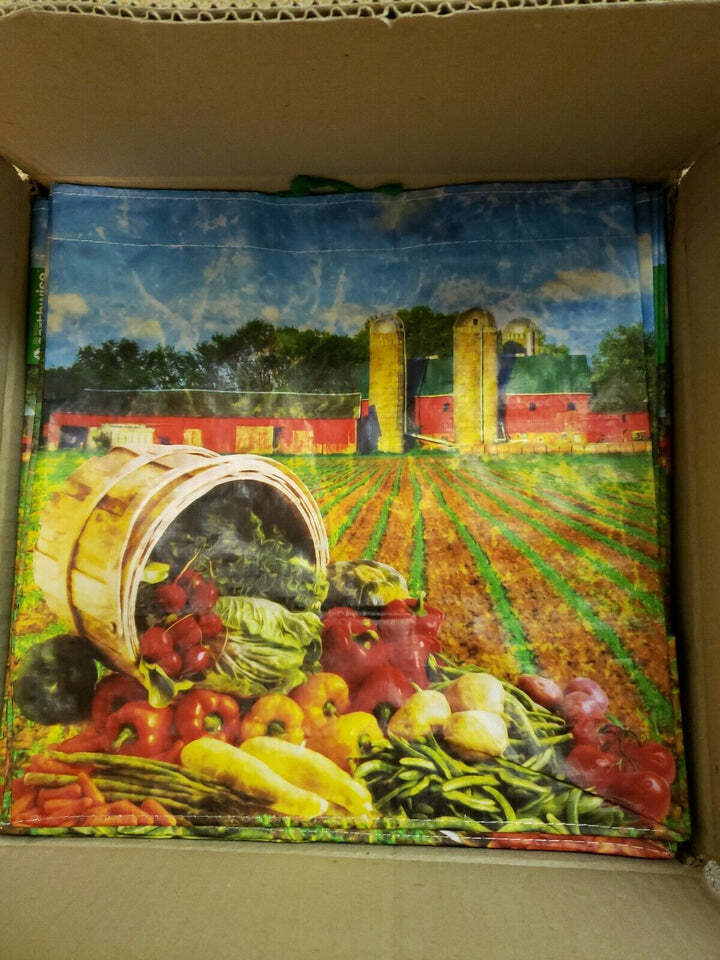 NEW EARTHWISE REUSABLE / COLLAPSIBLE GROCERY SHOPPING BAGS SILO PRINT (QTY 20)