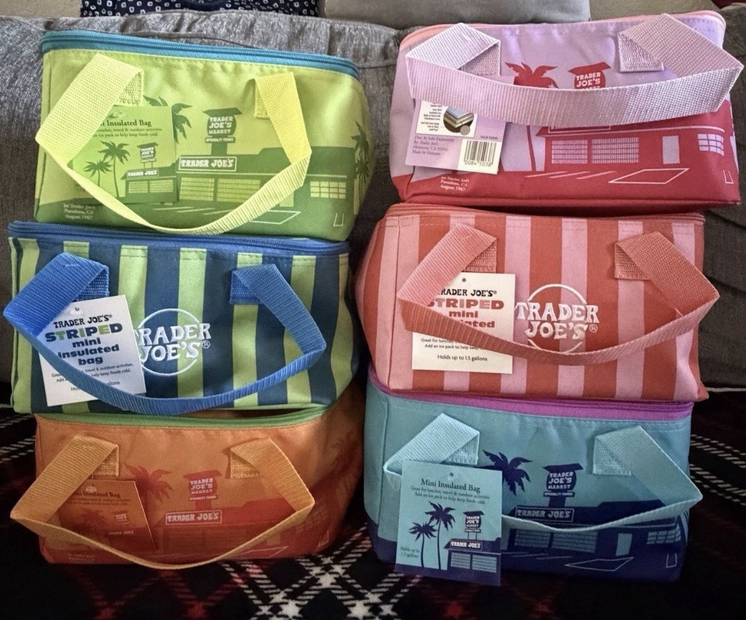 Trader Joe’s Mini Insulated Zipper Bag Striped Multicolor 1.5 Gal 10x6x6