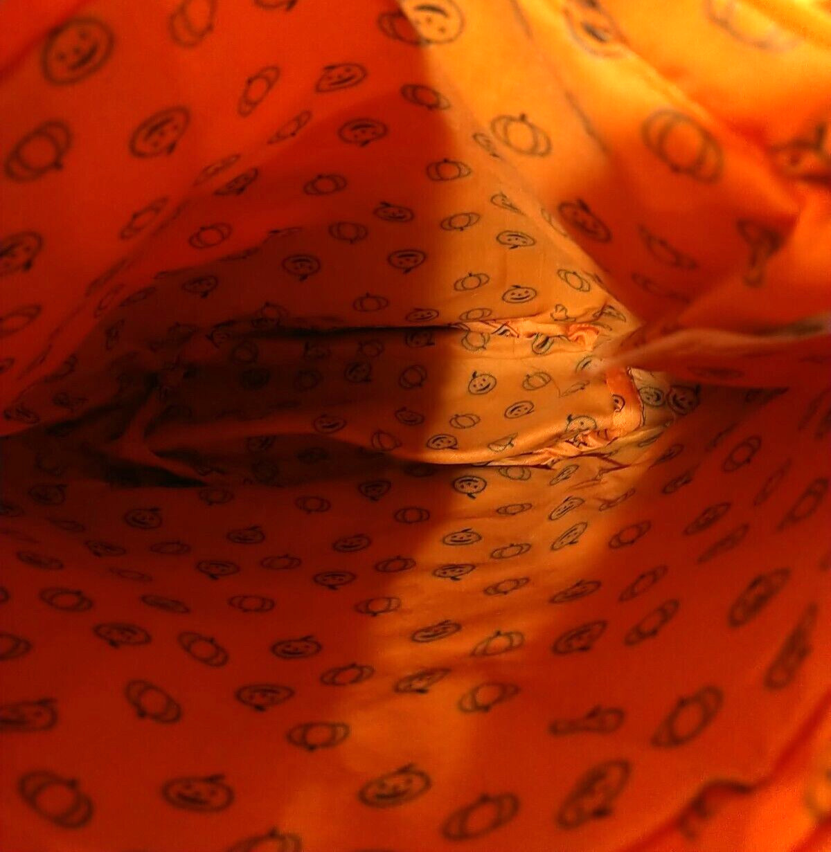 Rae Dunn Happy Halloween Canvas Bag Orange and Black Pumpkins NEW