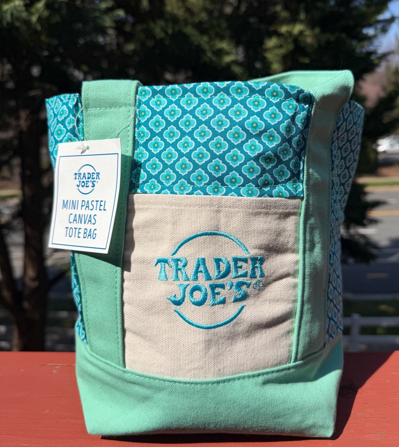 CUSTOM Stylish Trader Joes Mini Canvas Tote -Green, Spring 2026 – Handmade w/tag