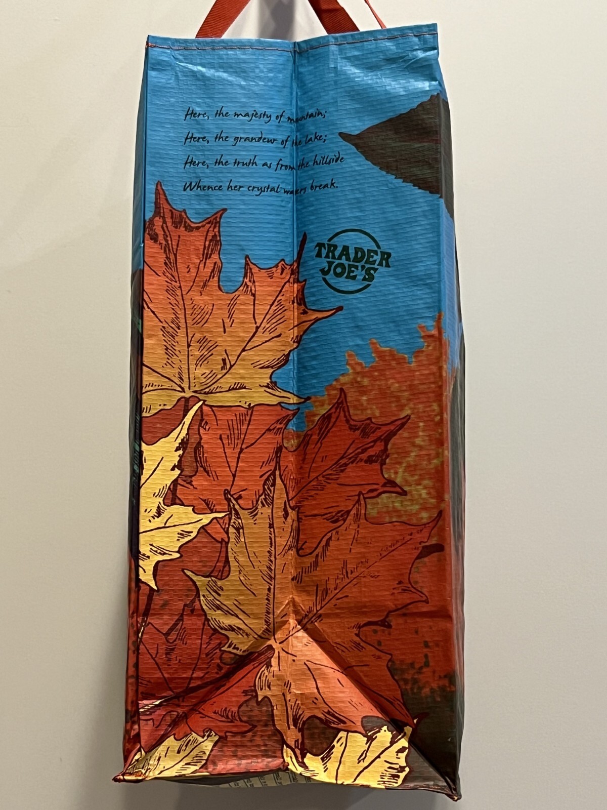 Trader Joe’s NEW HAMPSHIRE Regional Reusable Shopping Tote Bag -Collect ‘em All!