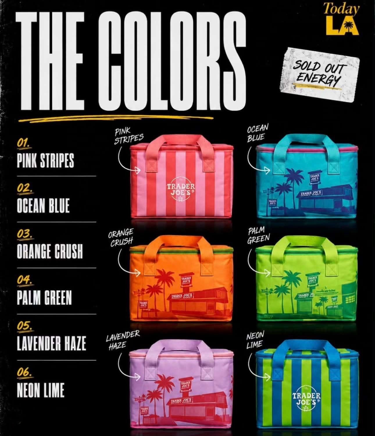 Trader Joe’s 2026 “Summer Fun” Mini Insulated Tote Bags Set of 6 NWT Authentic