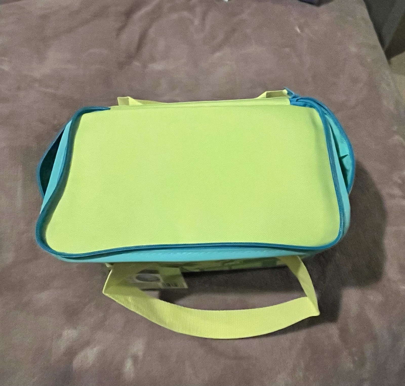 Trader Joe’s Mini Insulated Bag Green &Mini Canvas Tote Halloween Bag Set Of 2