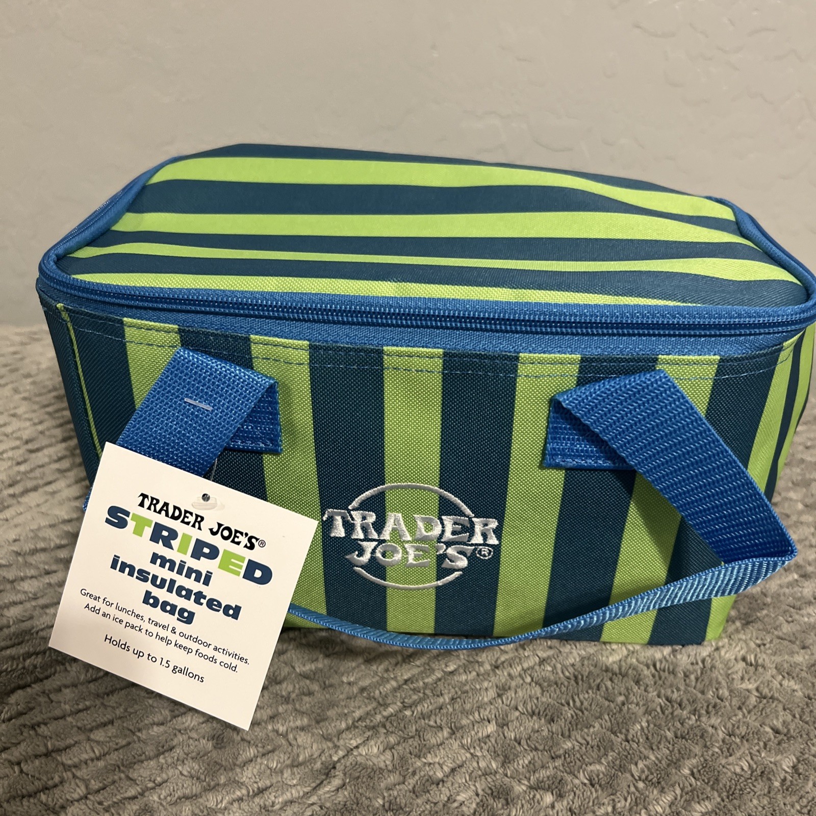 Trader Joe’s Striped Mini Insulated Tote Bag Blue and Green Striped NEW Limited
