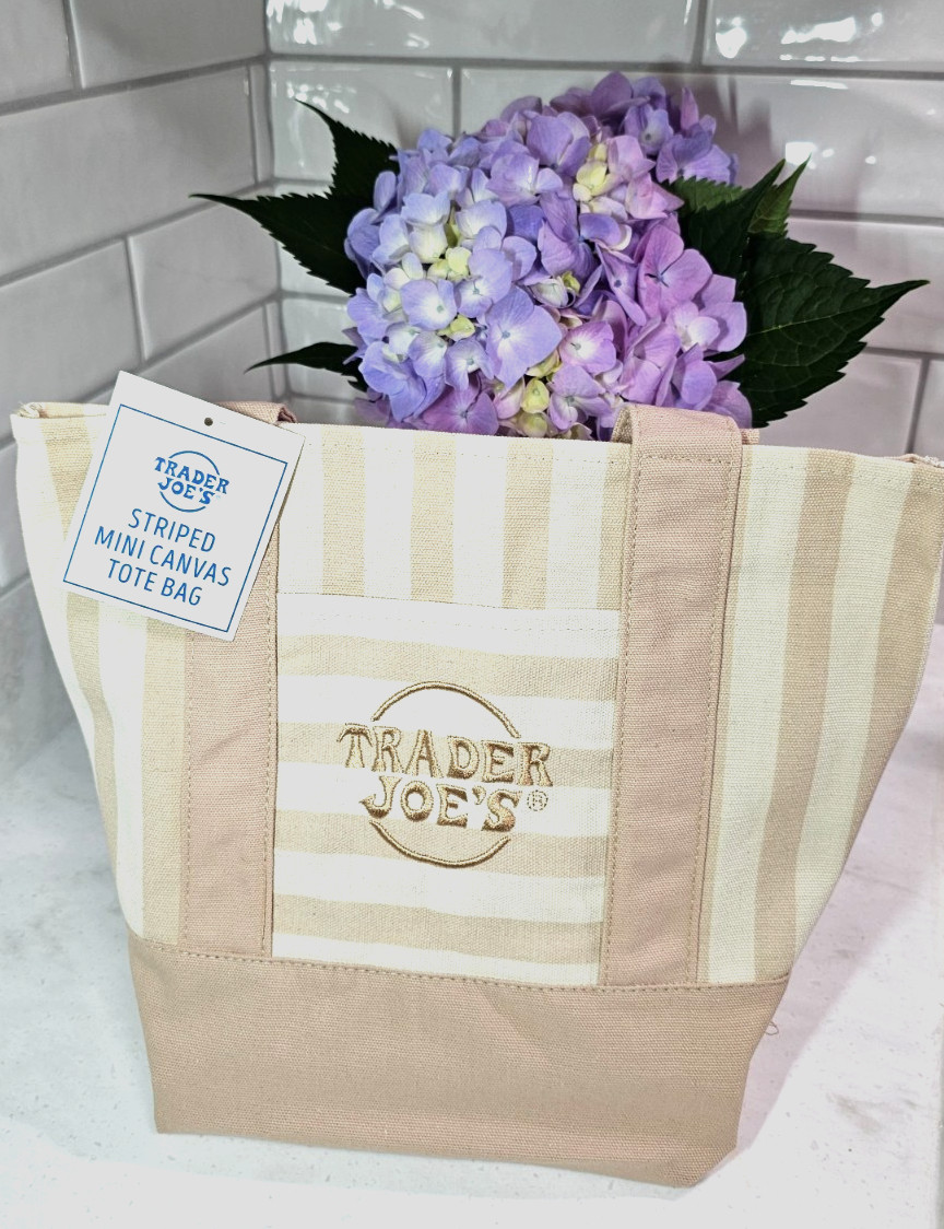 Trader Joe’s Mini Striped Tote Bag – BEIGE