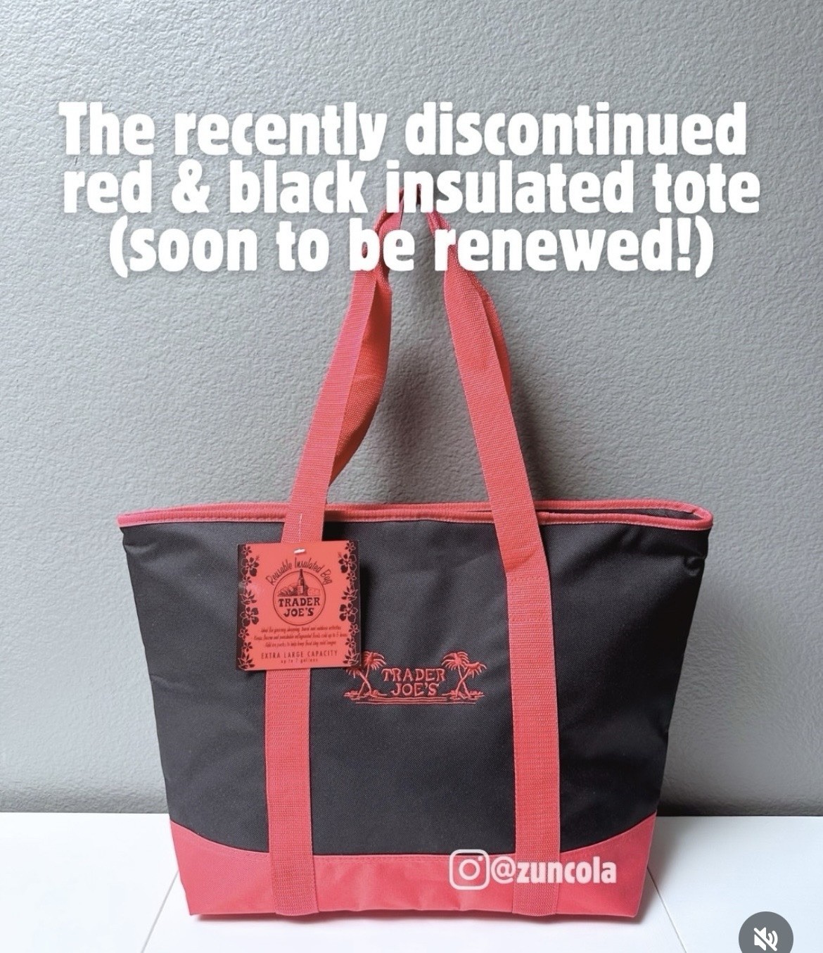 NEW! Trader Joe’s Insulated Reusable Shopping Tote Bag – 7 Gallons
