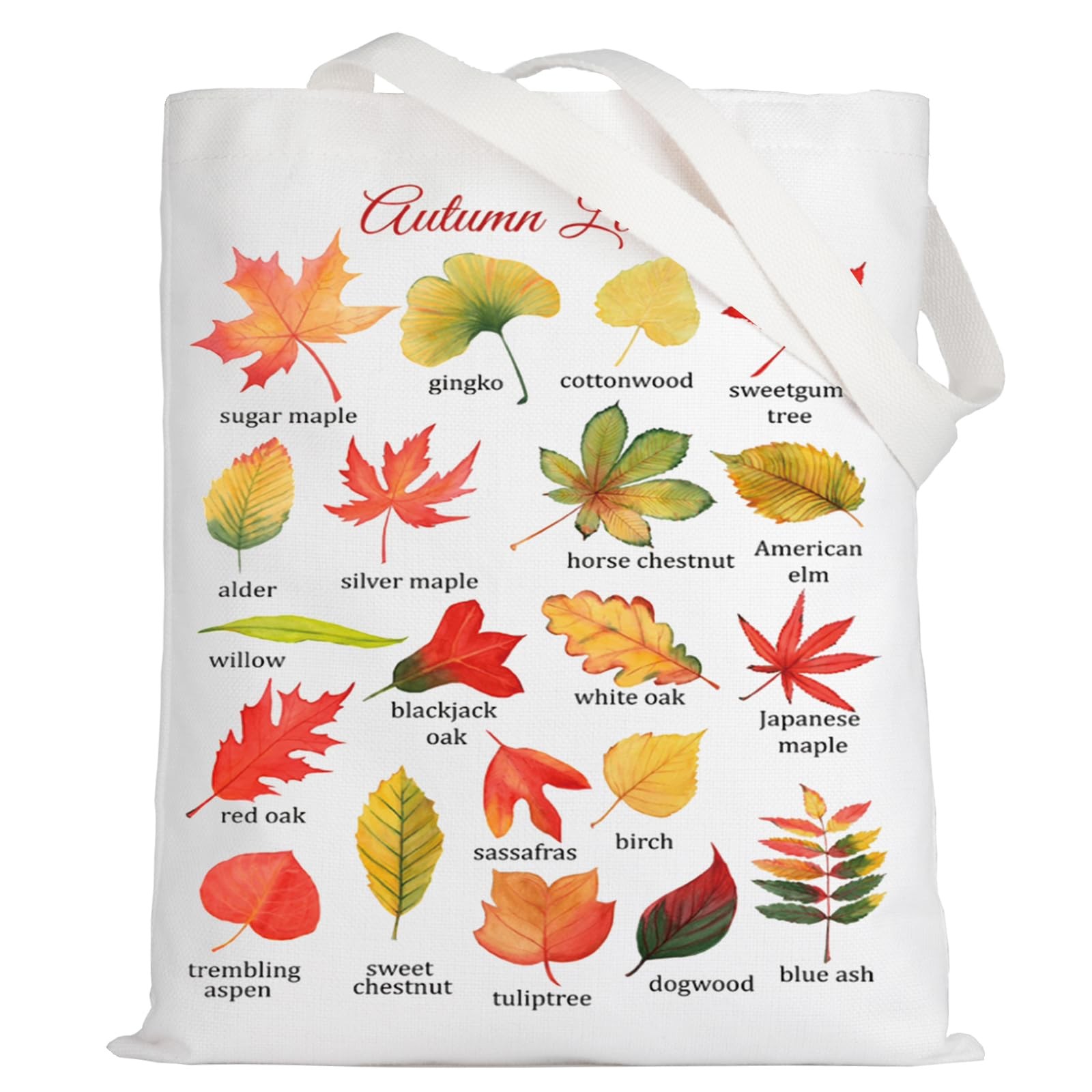 Autumn Leaves Canvas Tote Bag Fall Leaves Gift Autumn Theme Shoulder Bag Leav…